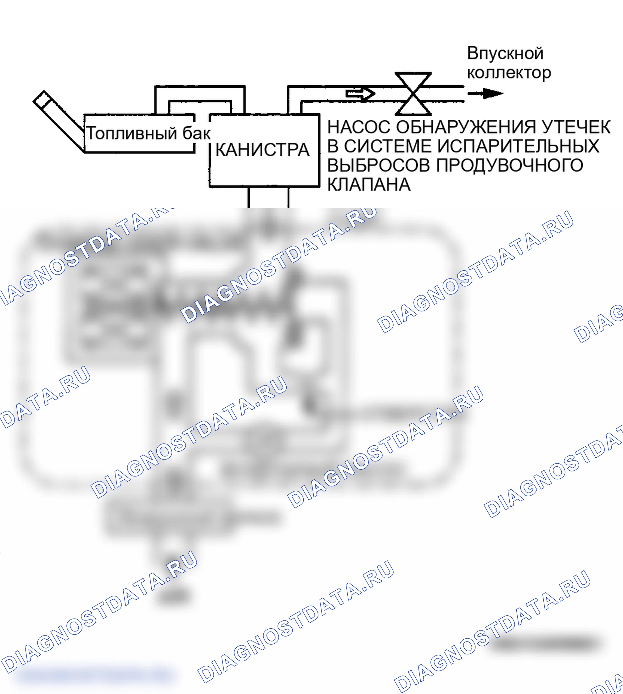 Рис. 12: Оценка неисправности системы EVAP. Mazda MPV III