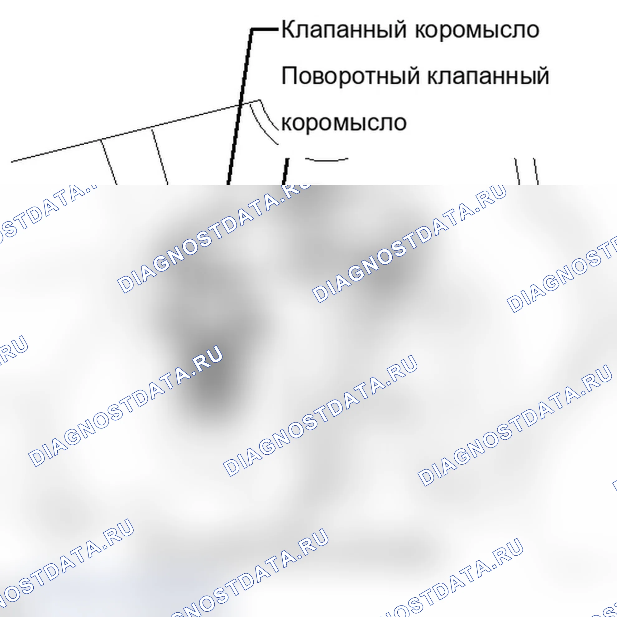 Рис. 51. Lexus IS F I