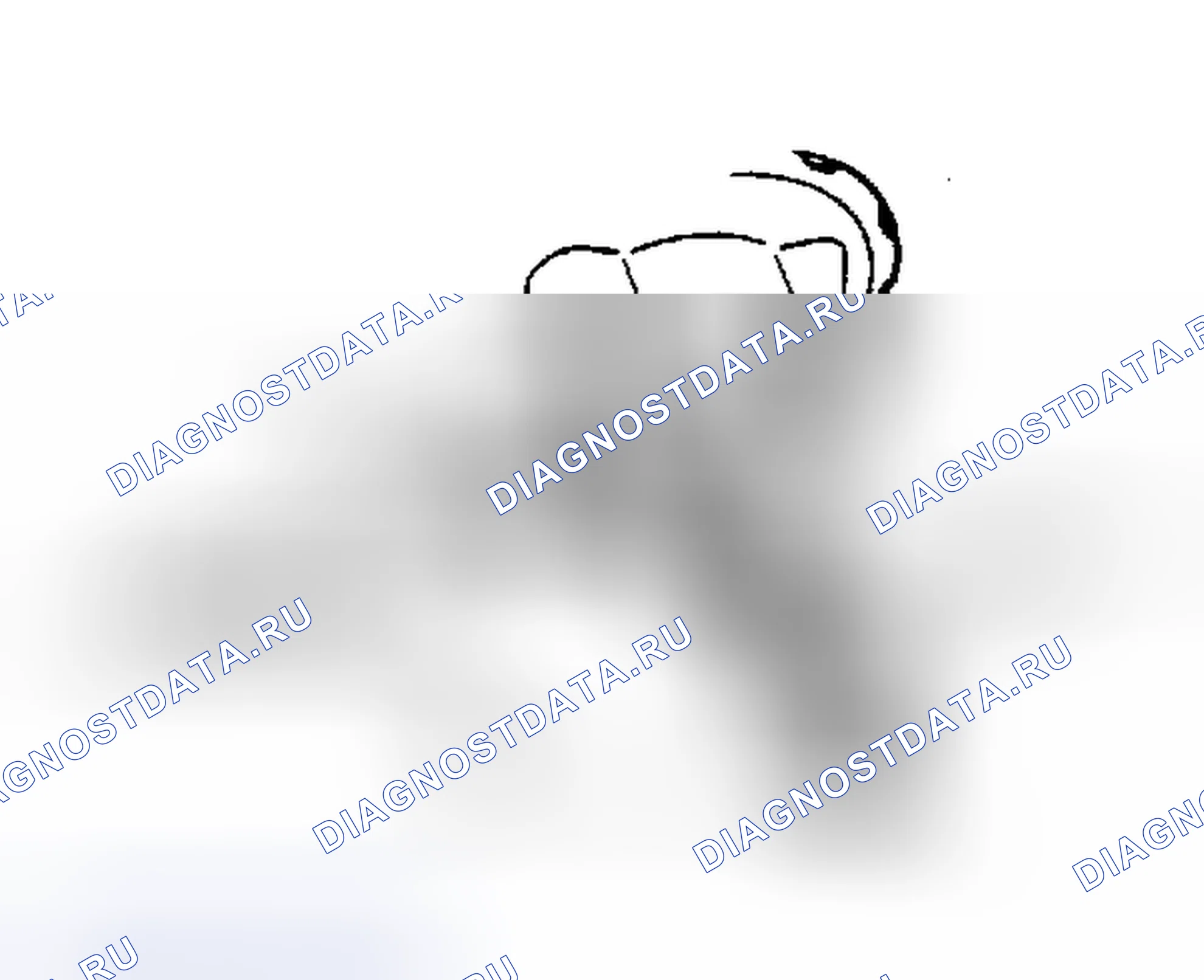 Рис. 3. Suzuki Swift II