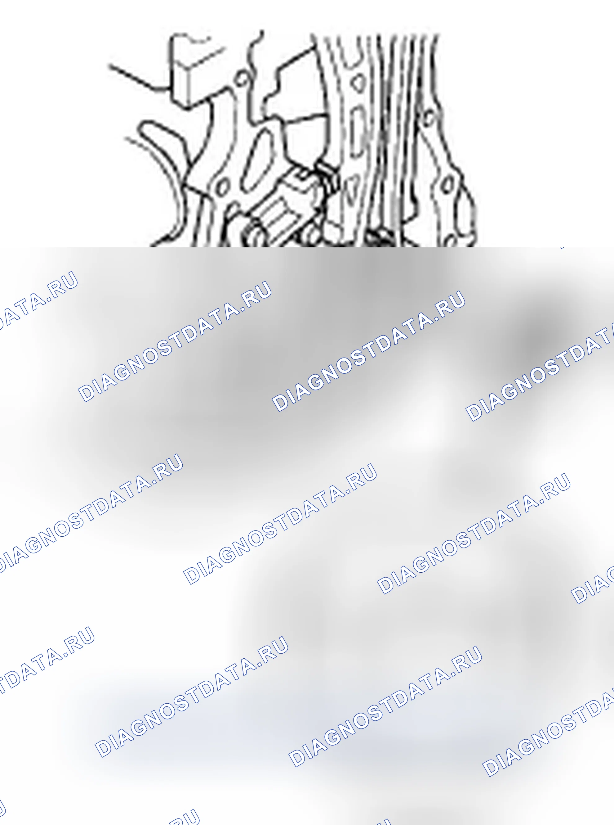 Рис. 220: Замена импульсной пластины Ckp. Honda Civic VIII
