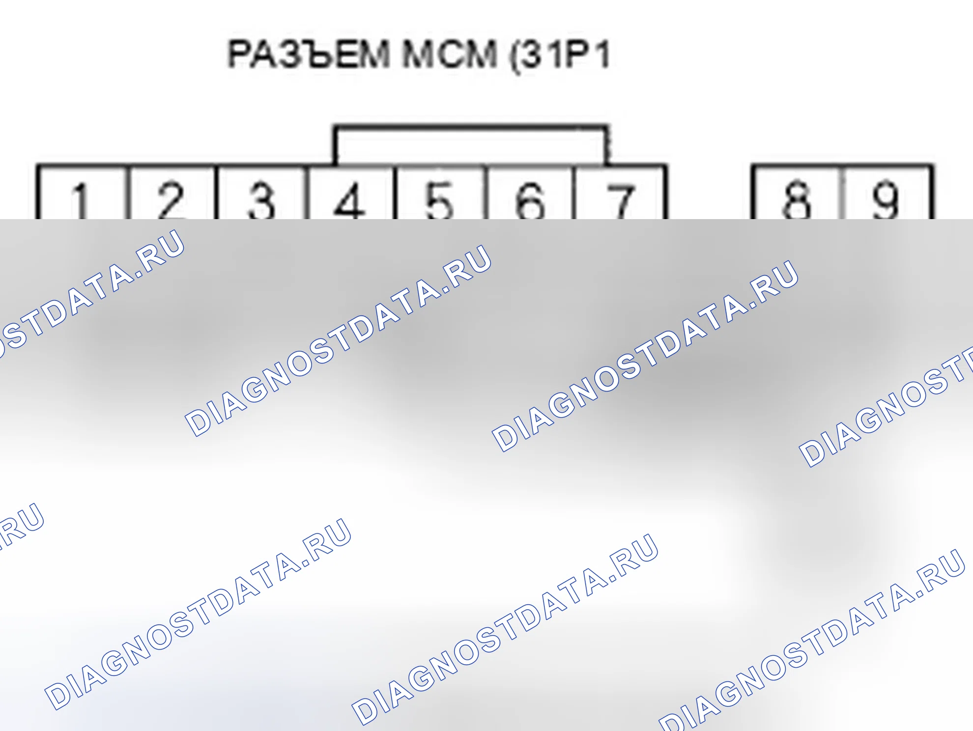 Рис. 381. Honda Accord VII рестайлинг