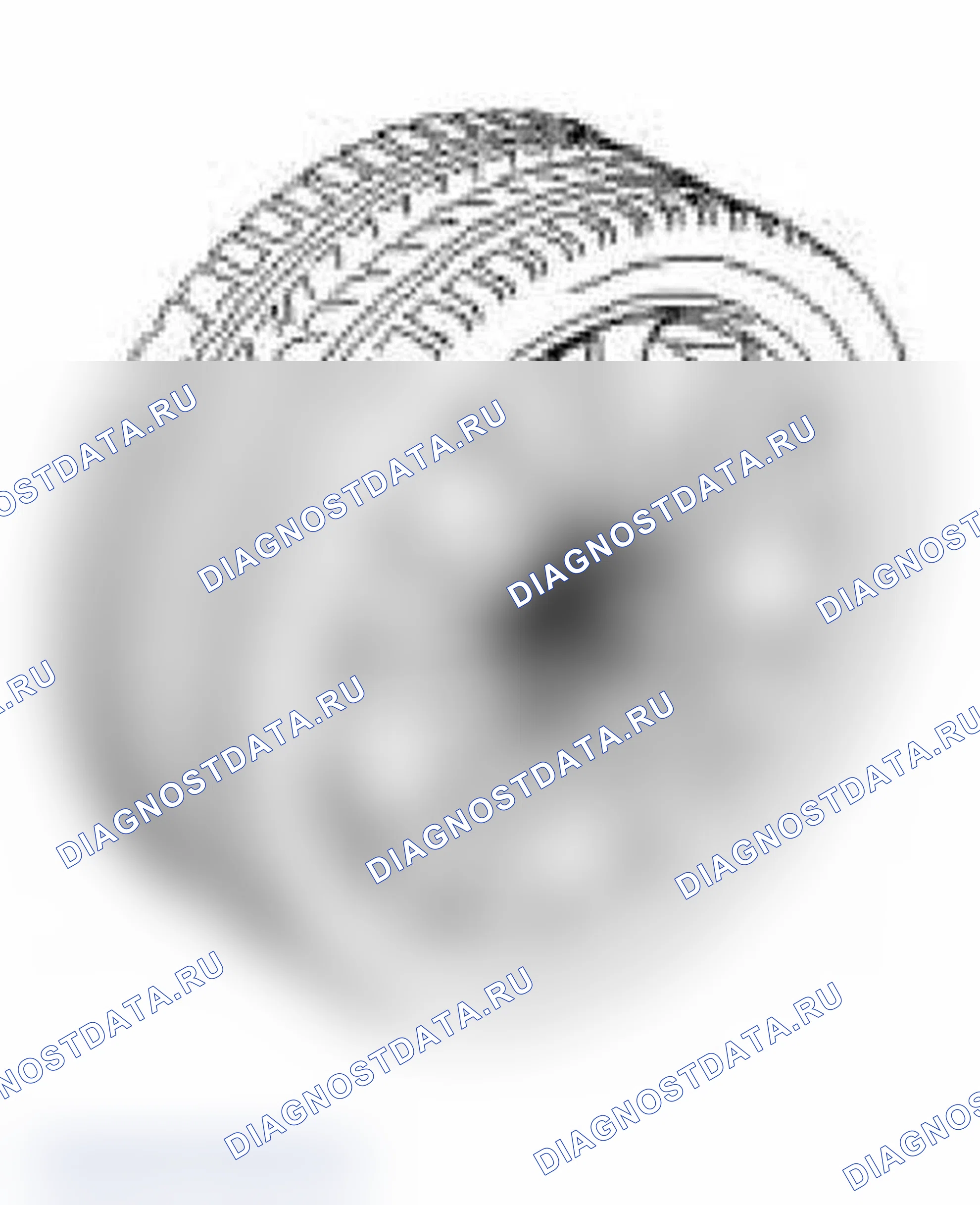 Рис. 143: Шины и колеса. BMW M3 E46