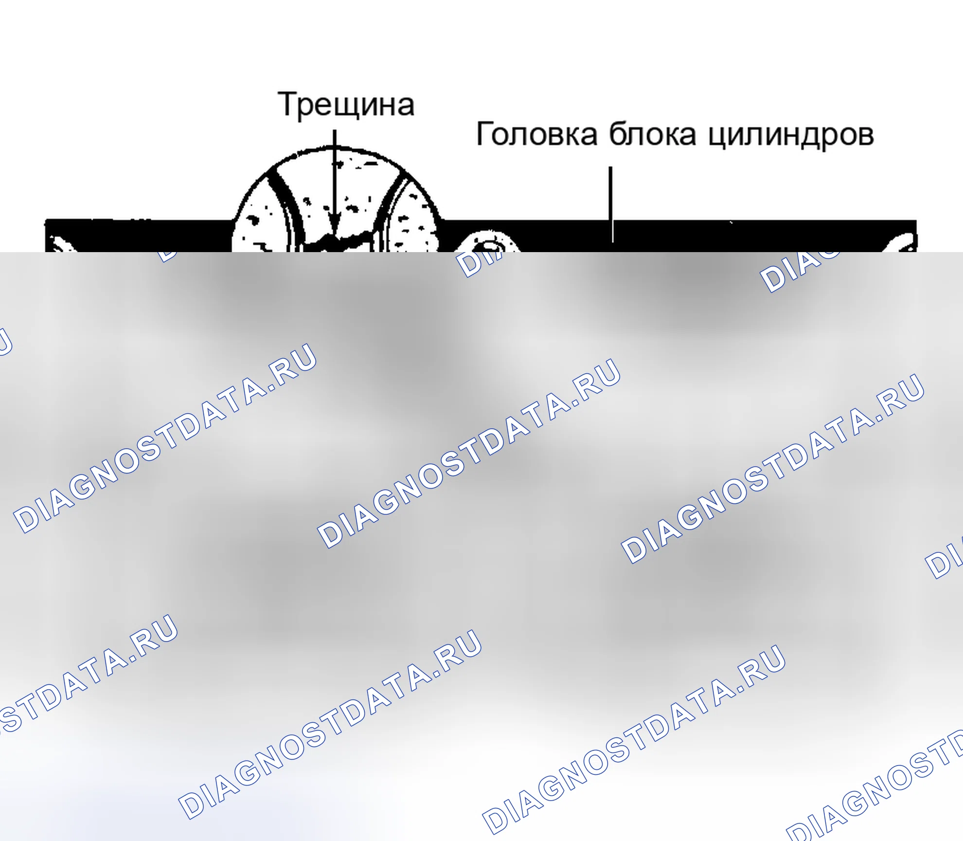 Рис. 13. Ford Cab & Chassis F350 