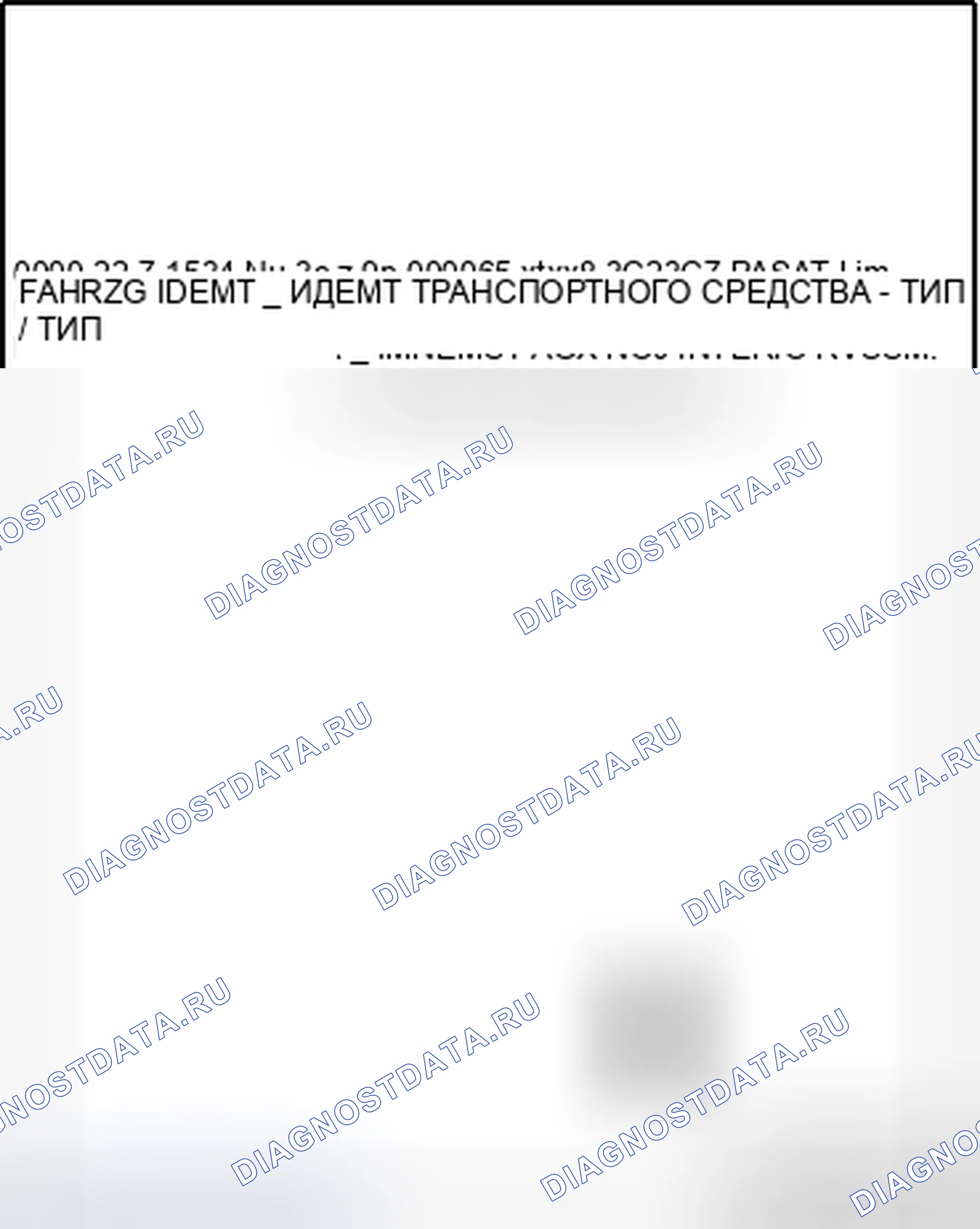 Рис. 138: ТАБЛИЧКА С ДАННЫМИ ТРАНСПОРТНОГО СРЕДСТВА. Volkswagen Passat B6