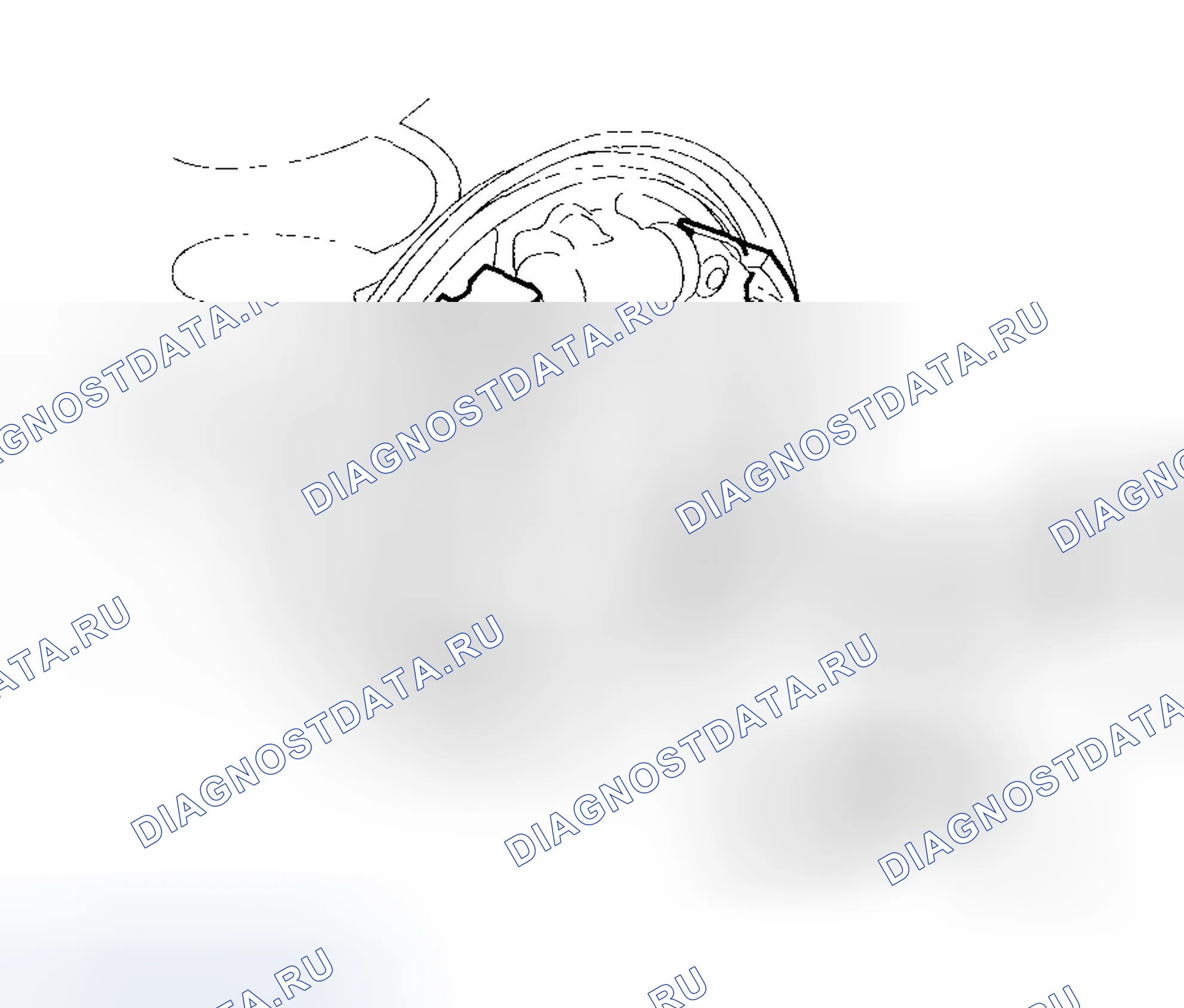 Рис. 116. Honda Insight ZE1