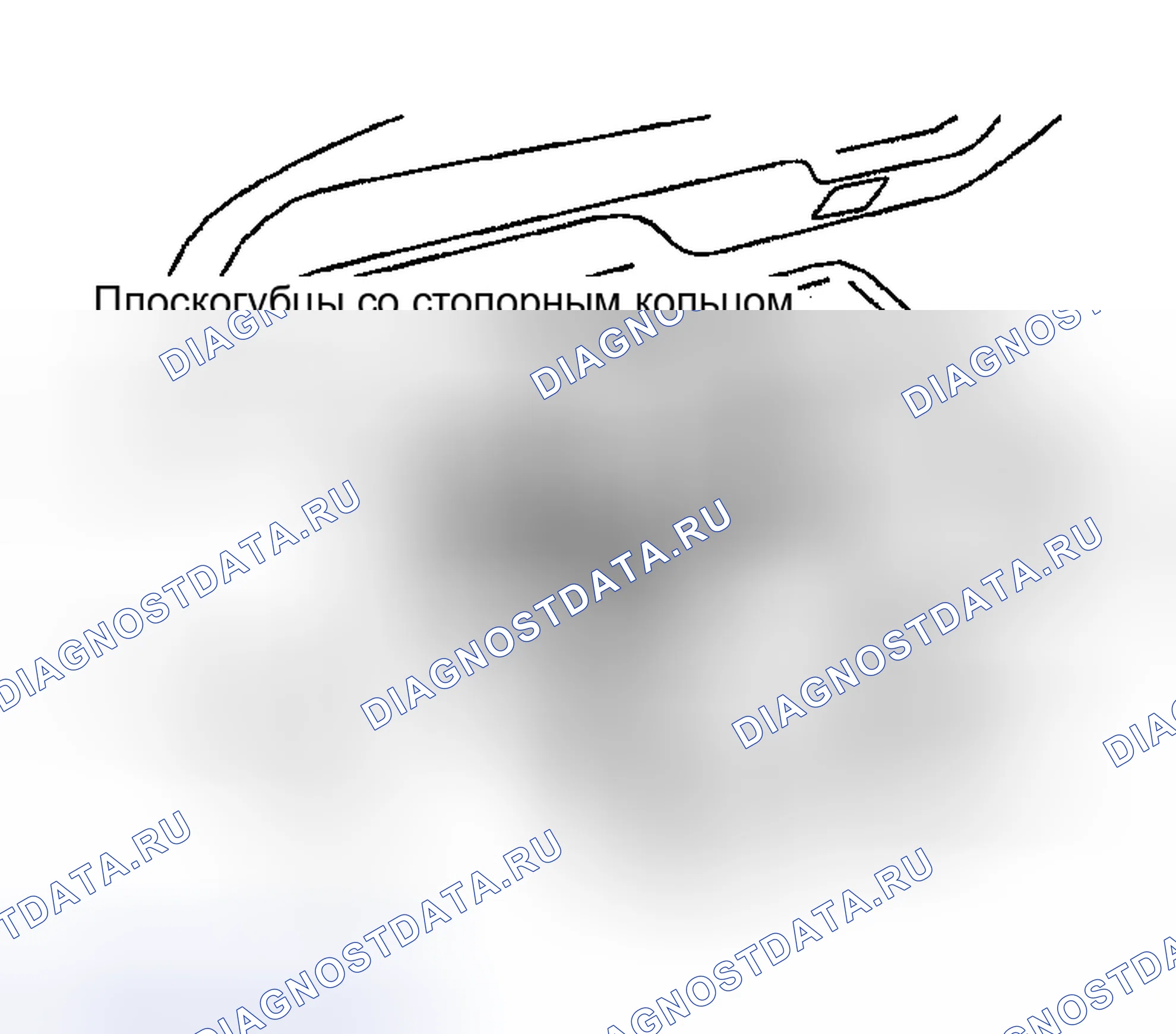 Рис. 11. Nissan 350Z I
