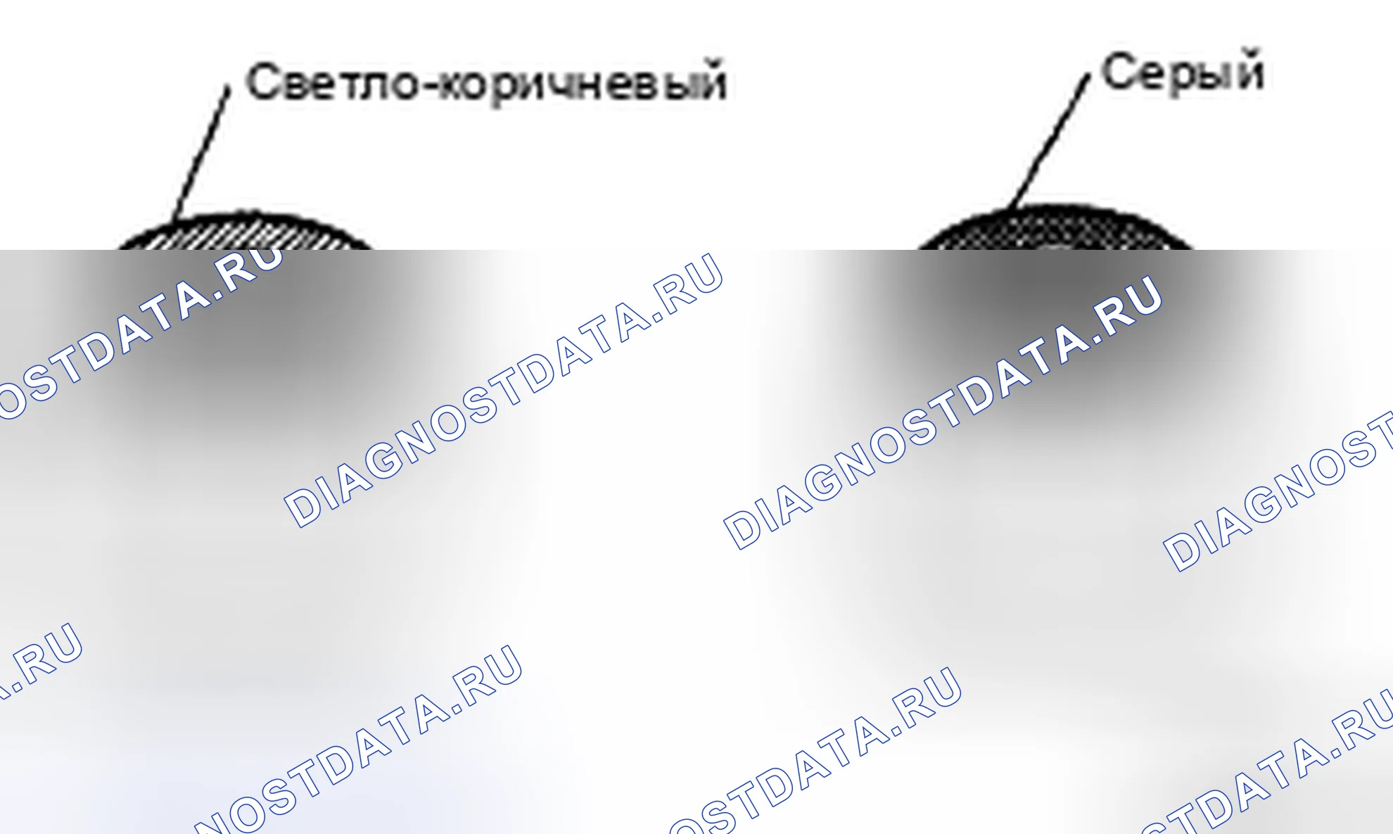 Рис. 736. Toyota 4Runner IV рестайлинг