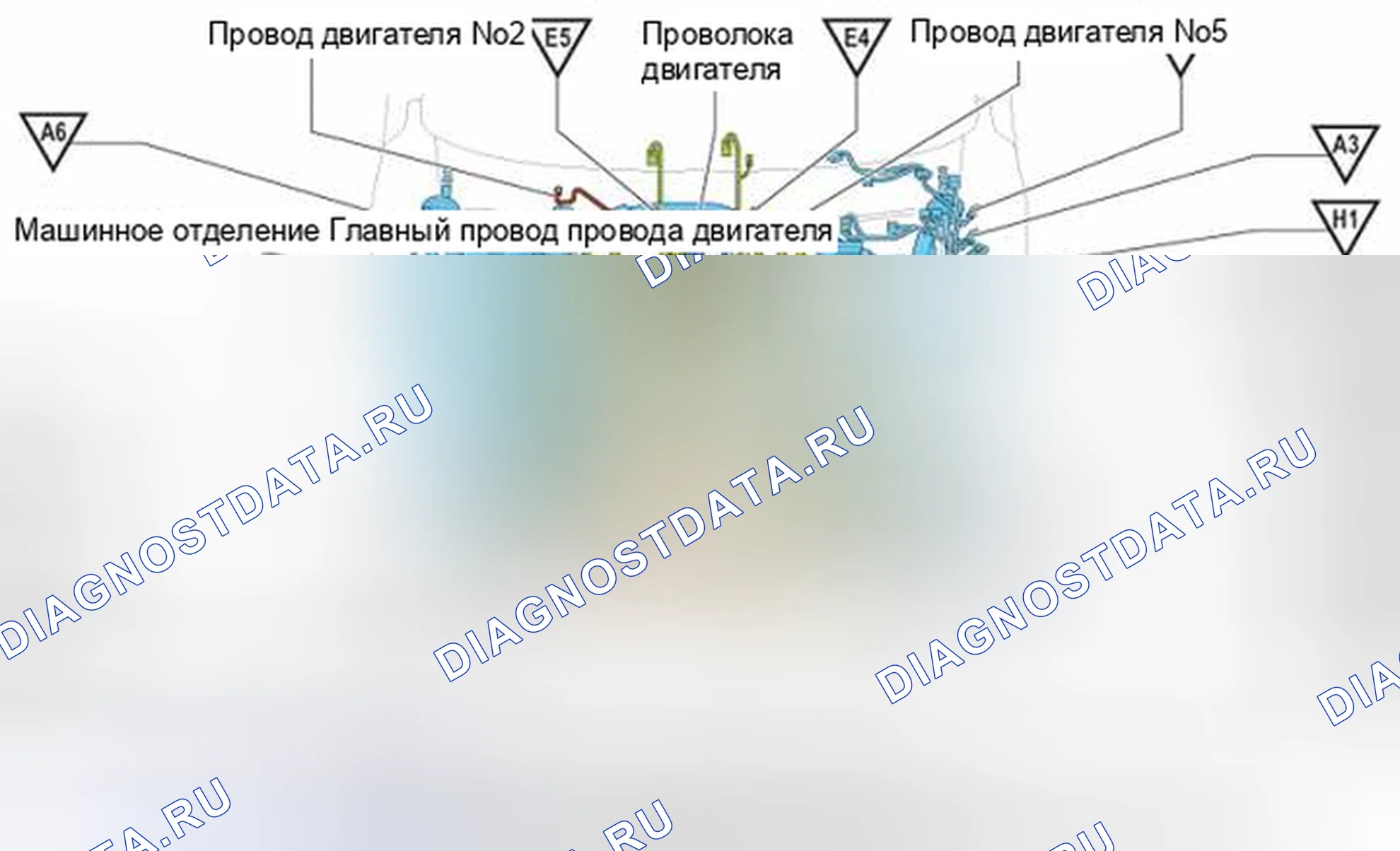 Рис. 322: Расположение наземных точек. Honda Accord IV