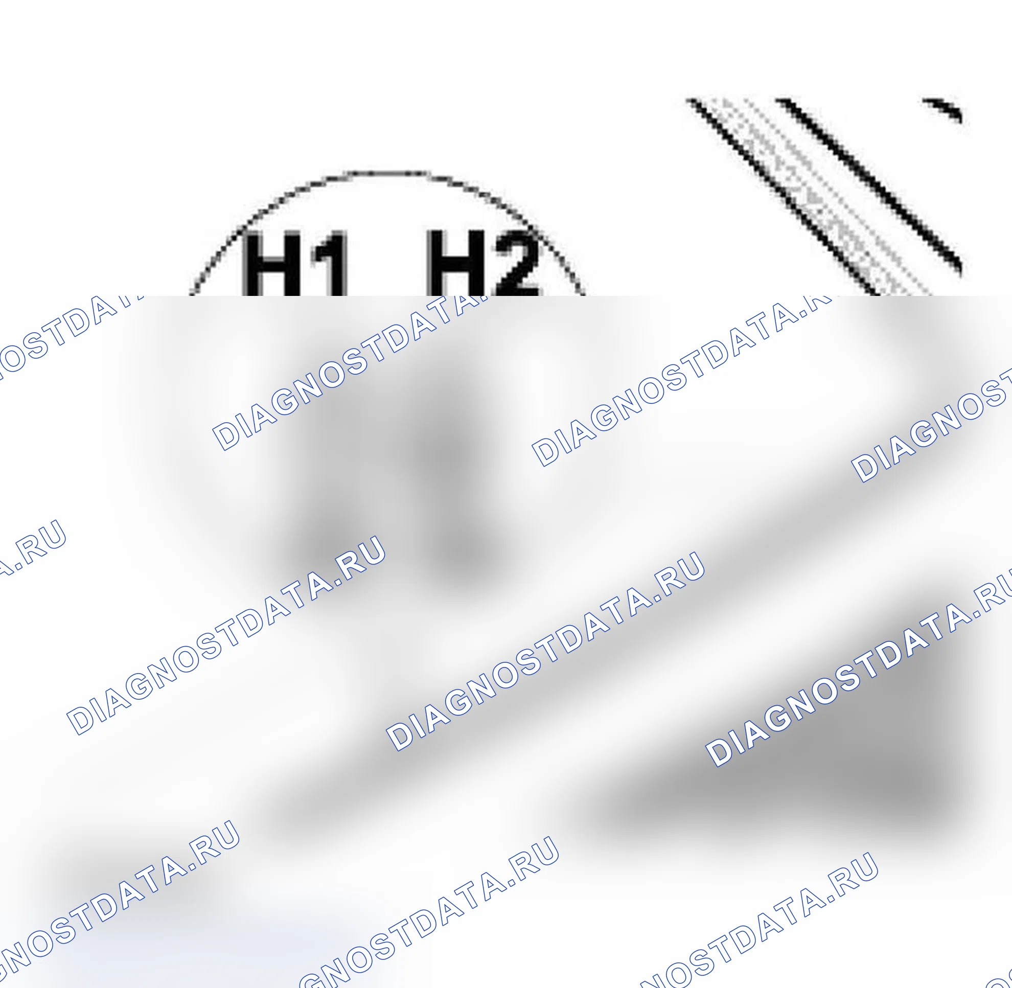Рис. 37. Porsche 911 Carrera 996