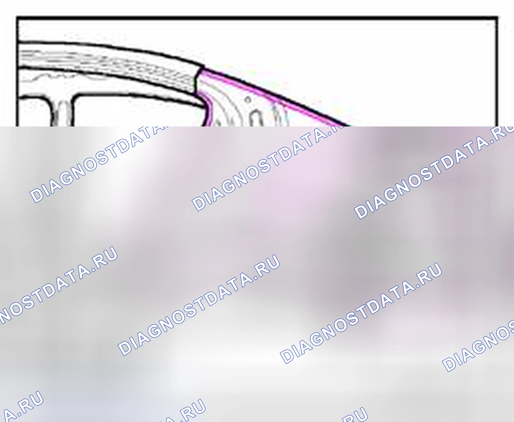 Рис. 289. Volkswagen Passat B6