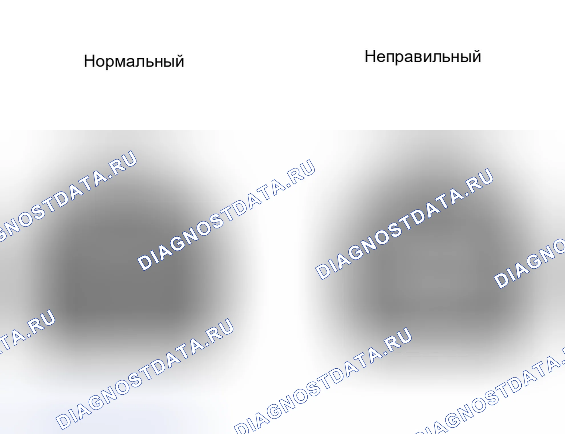 Рис. 5. Haval H6 III