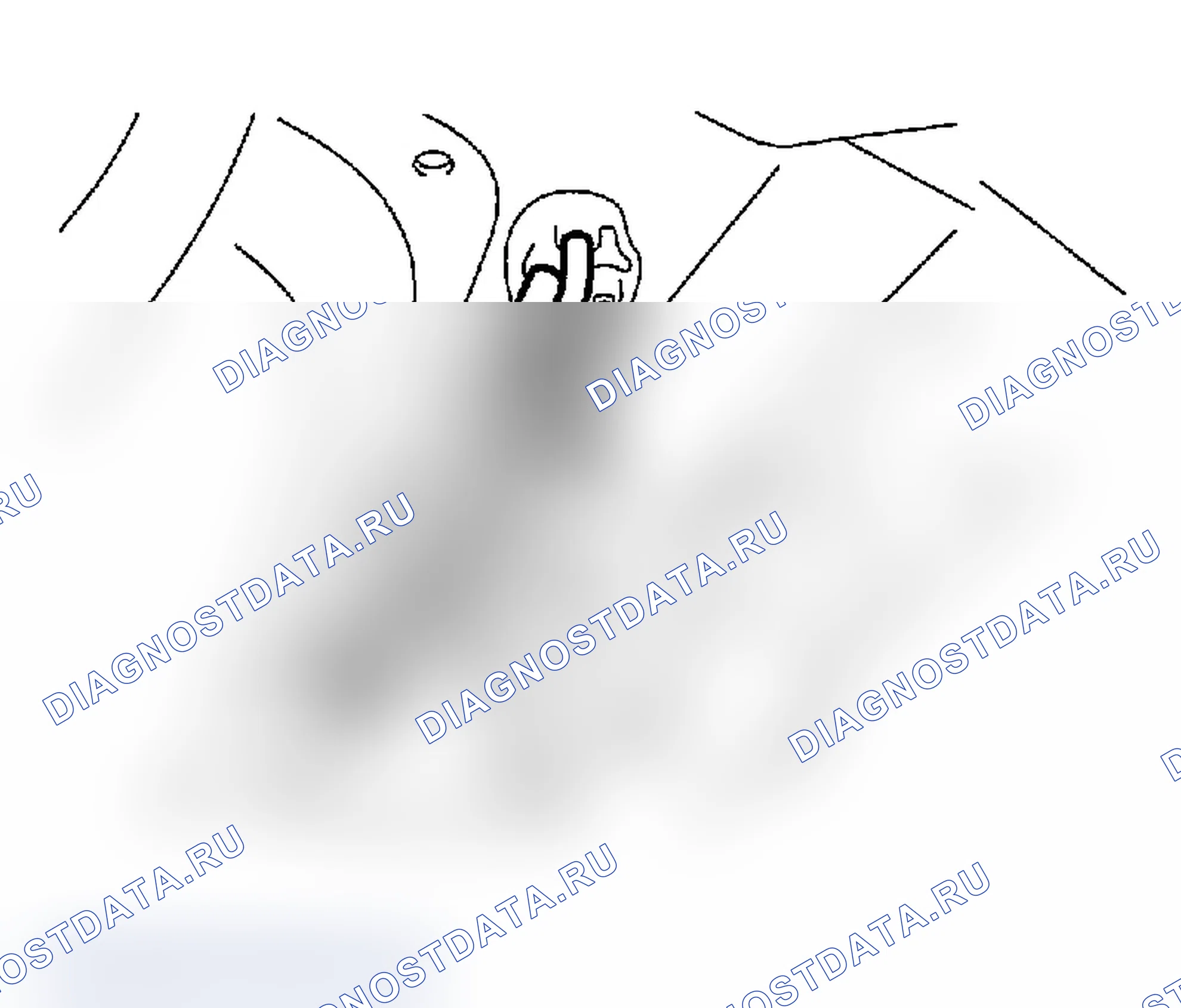 Рис. 20. Subaru Impreza WRX GD/GG рестайлинг