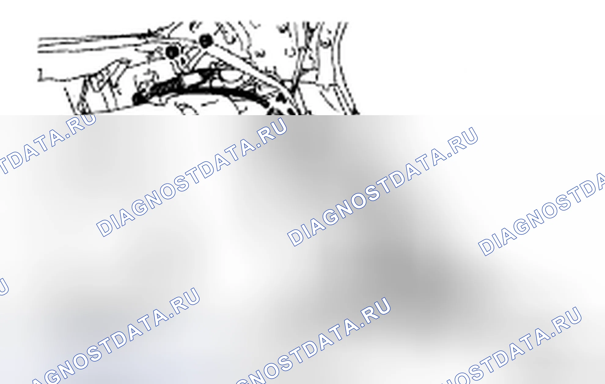 Рис. 99. Toyota Avalon XX30 рестайлинг