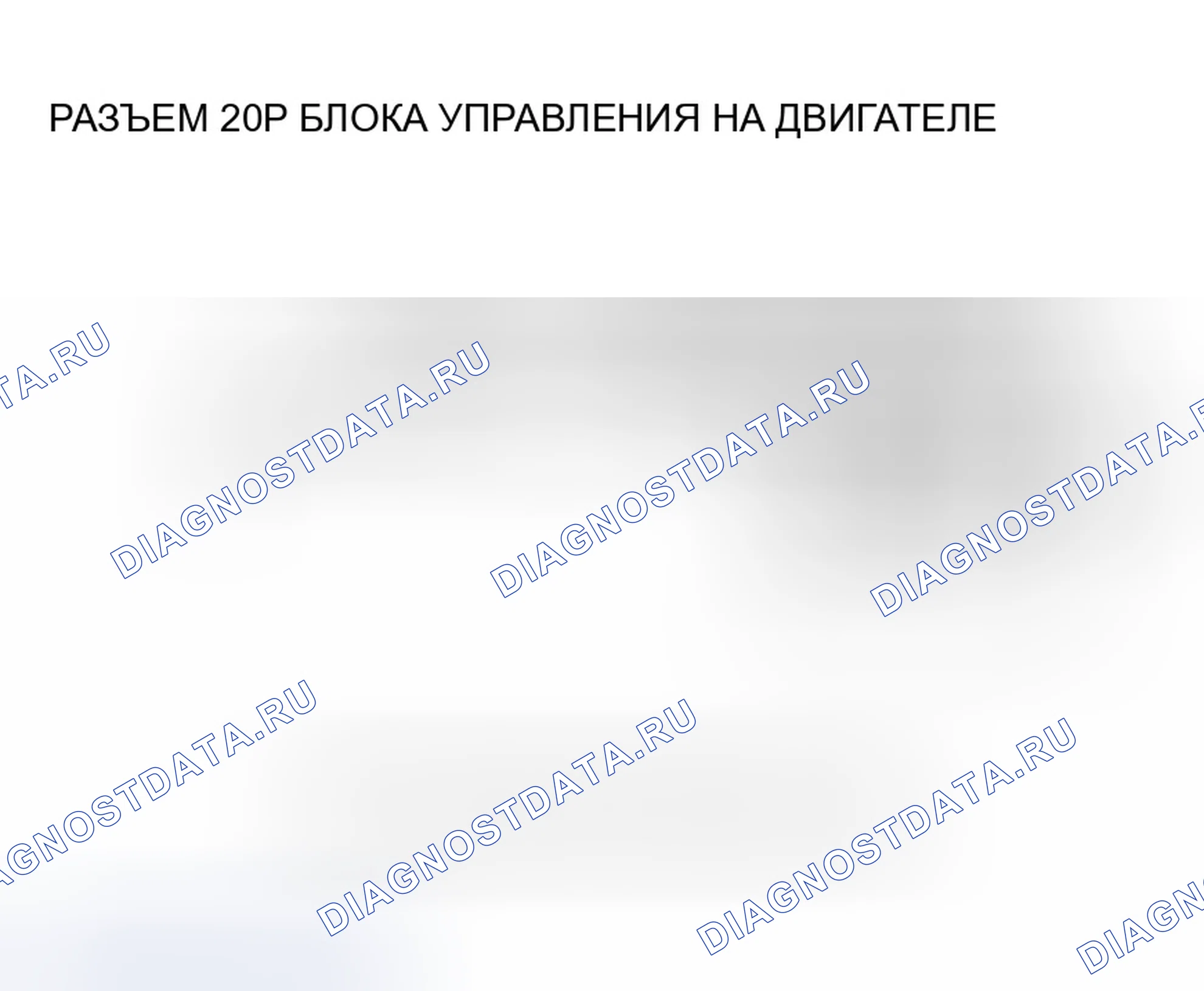 Рис. 588. Honda Accord VII рестайлинг