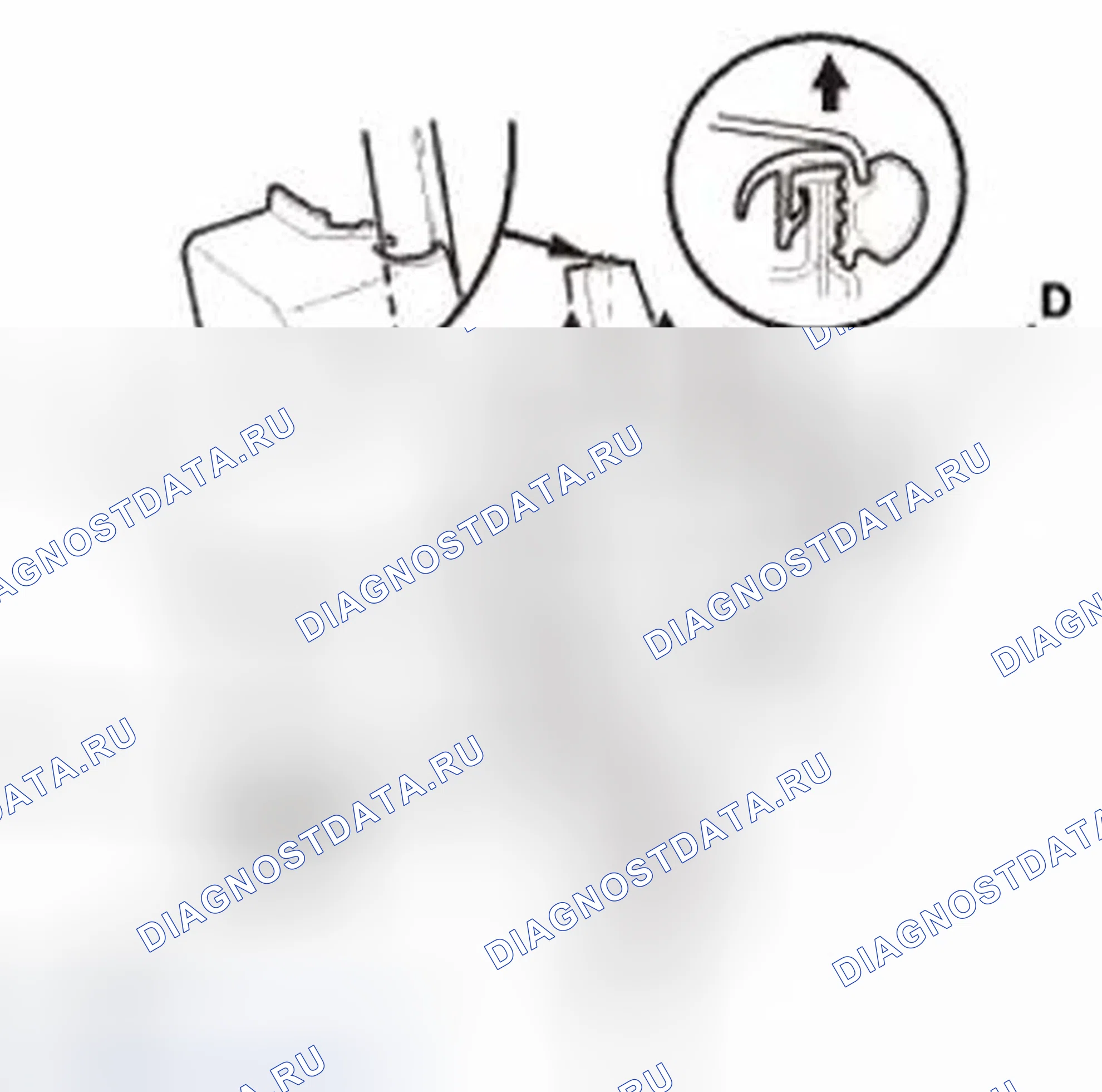 Рис. 676. Honda Civic IX