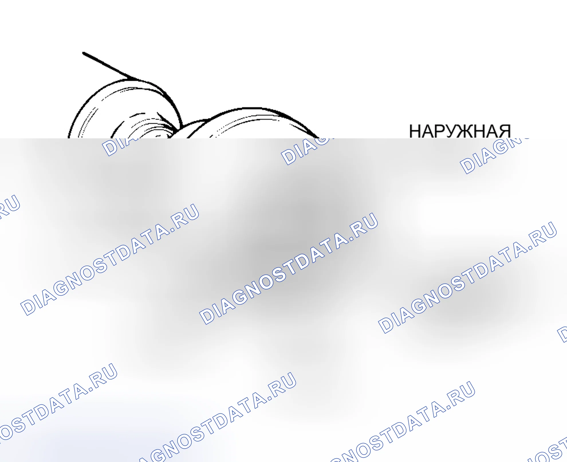 Рис. 6. Mitsubishi Lancer Evolution IX