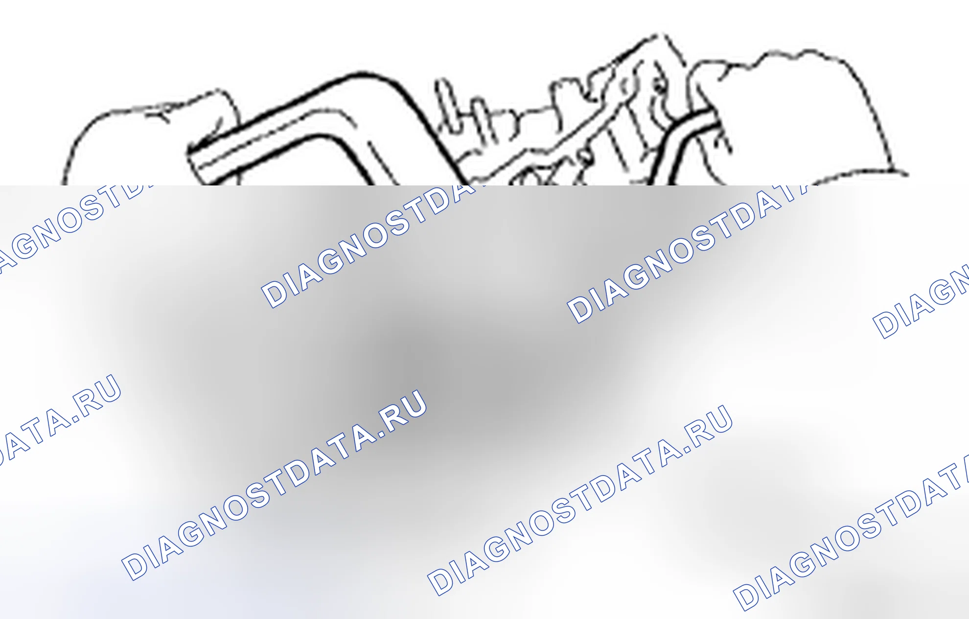 Рис. 264. Honda Accord IX