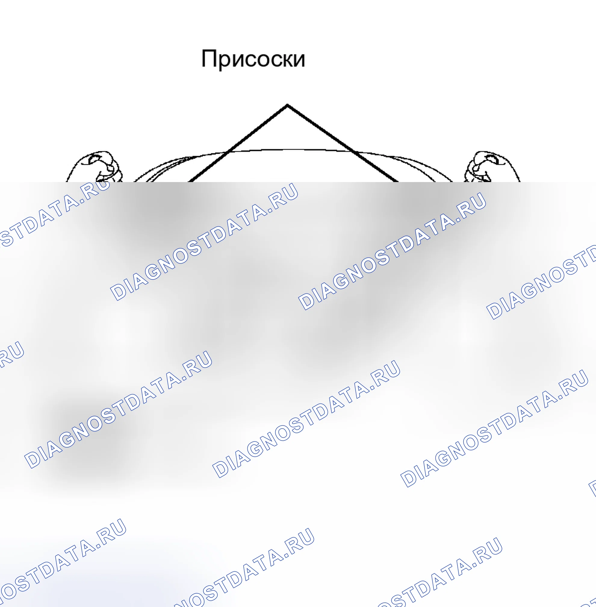 Рис. 62. Toyota Tacoma II