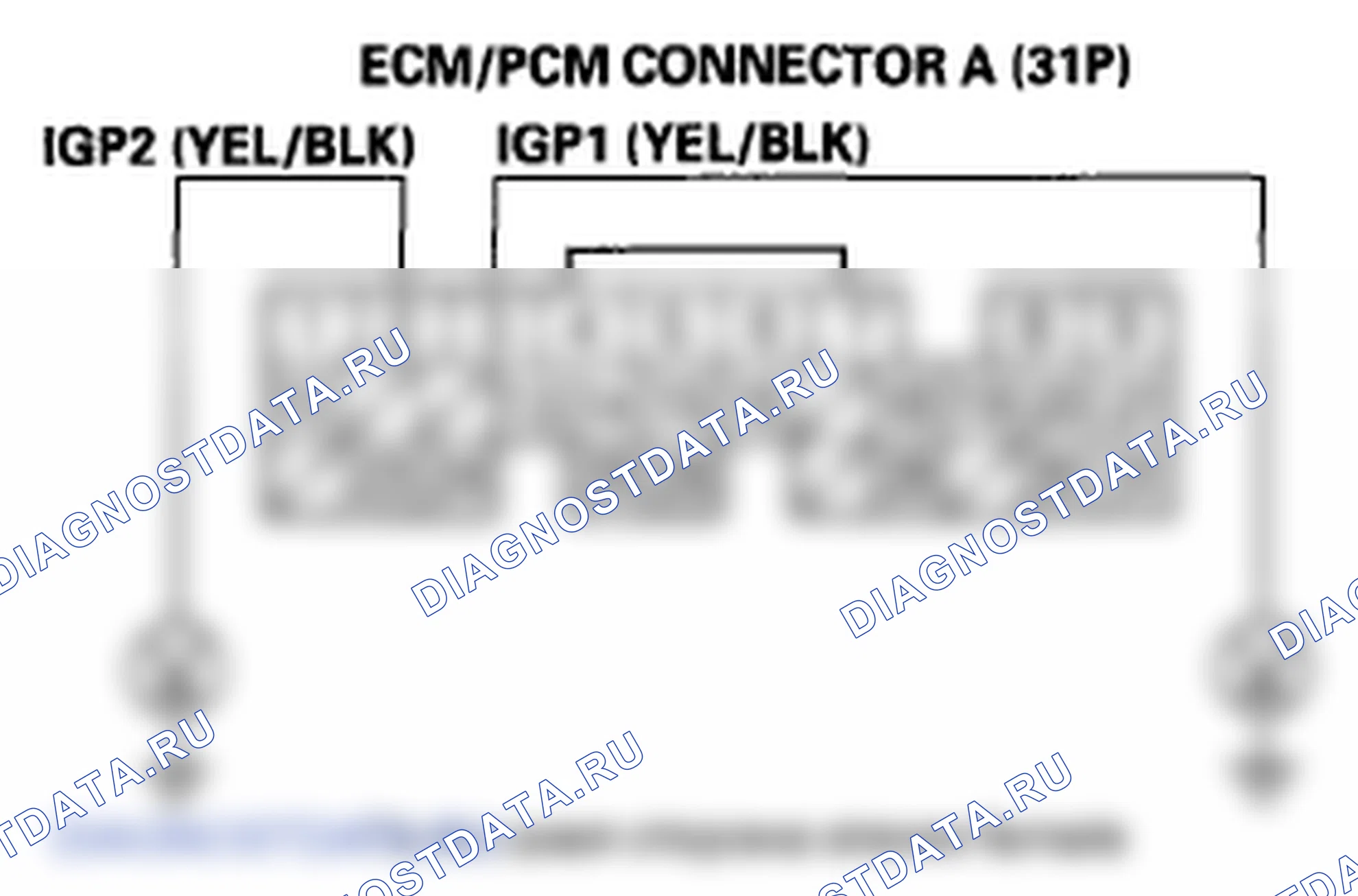 Рис. 455. Honda Element YH2 рестайлинг