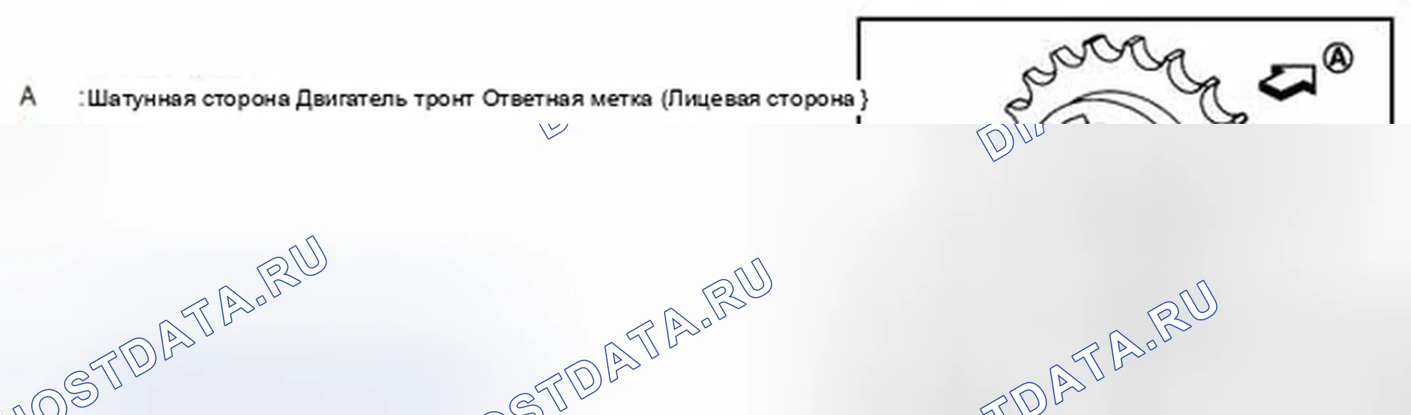 Рис. 211. Infiniti M35 III рестайлинг