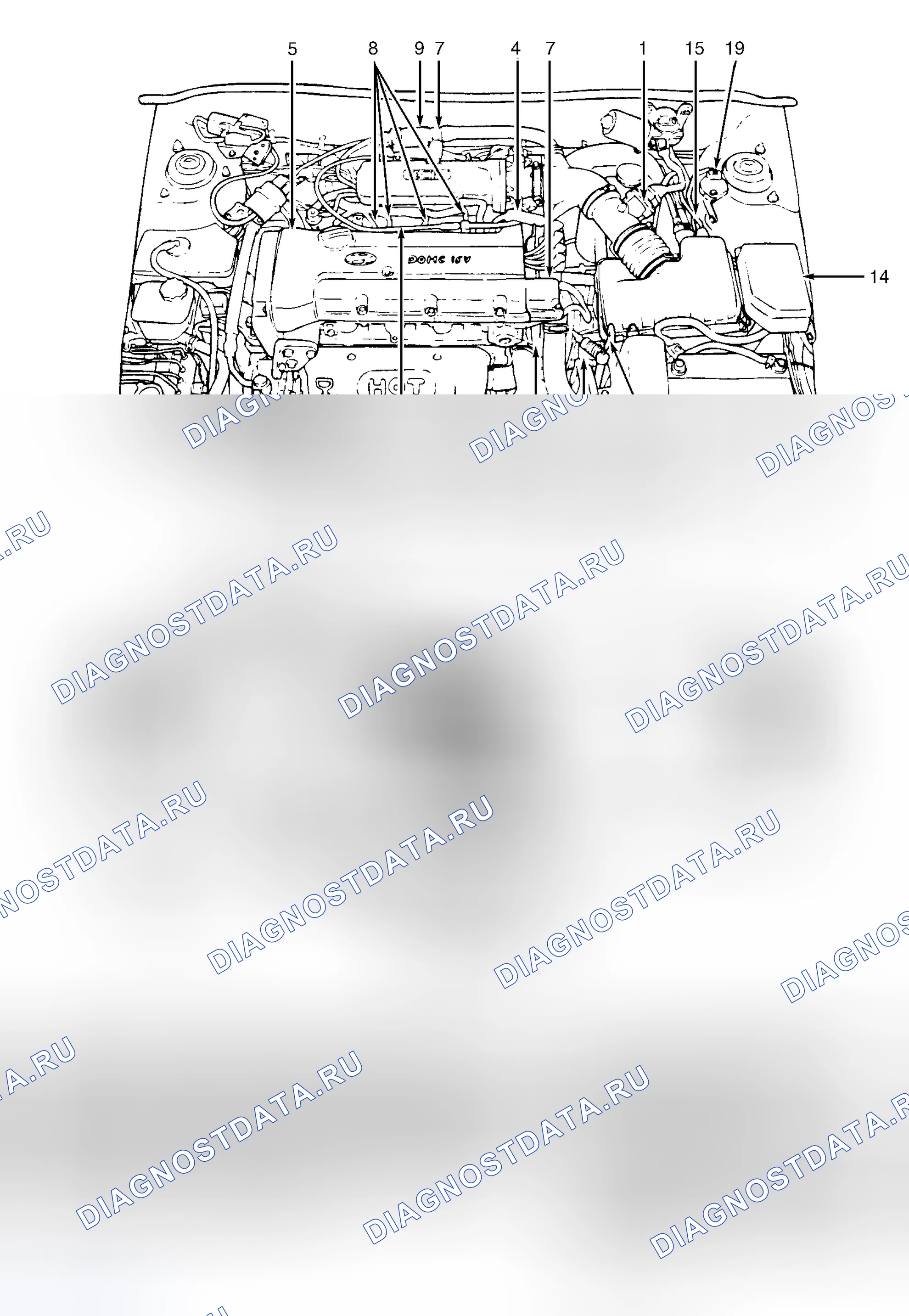 Рис. 1: РАСПОЛОЖЕНИЕ КОМПОНЕНТОВ. Hyundai Elantra II
