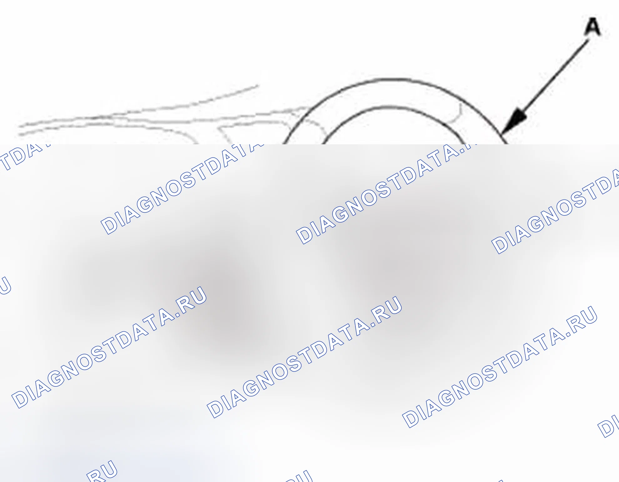 Рис. 83. Honda Civic IX