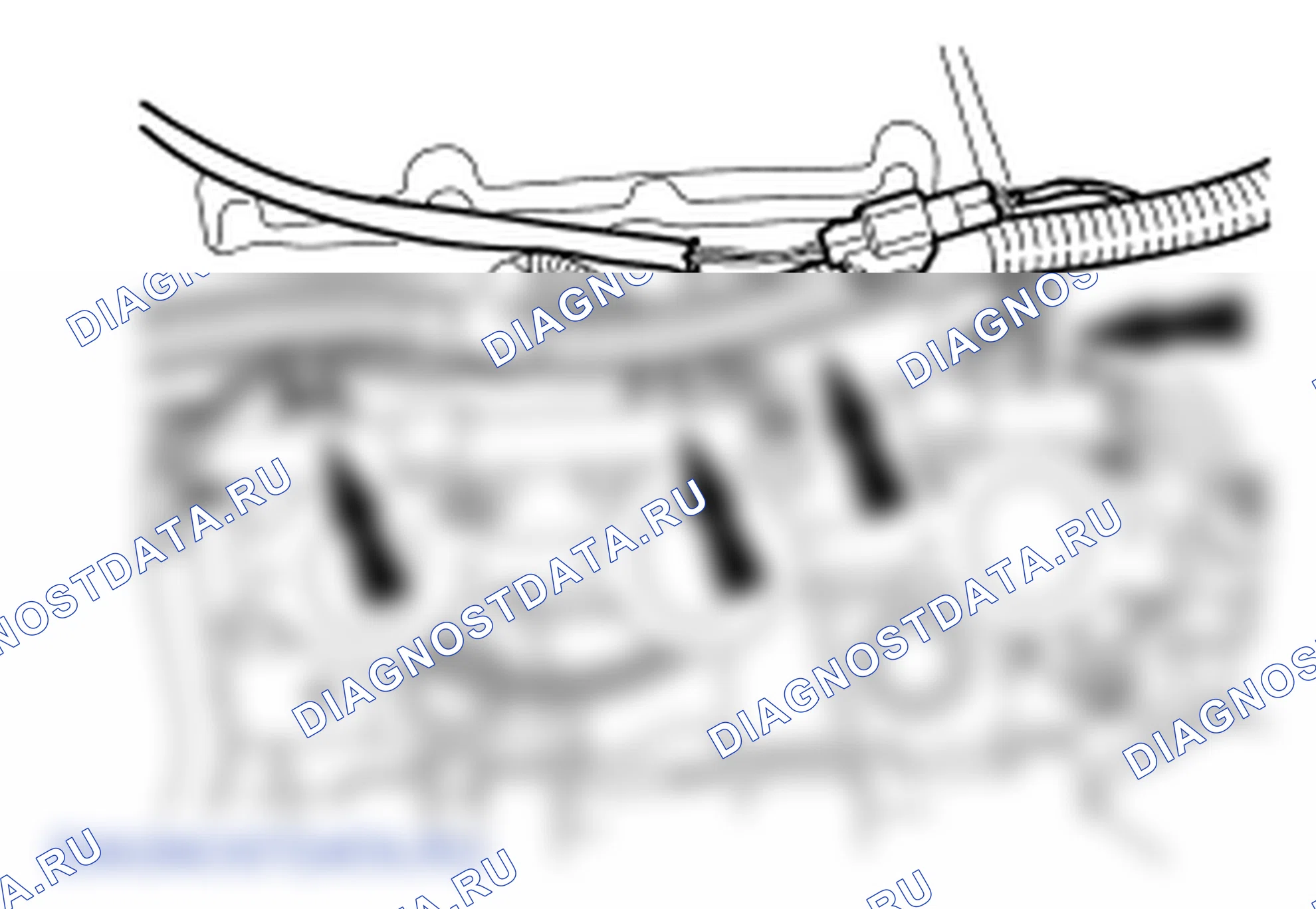 Рис. 421. Ford Mustang V