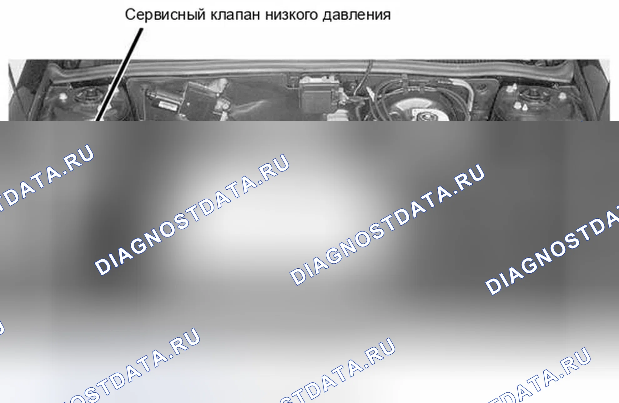 Рис. 32. Ford Escape I