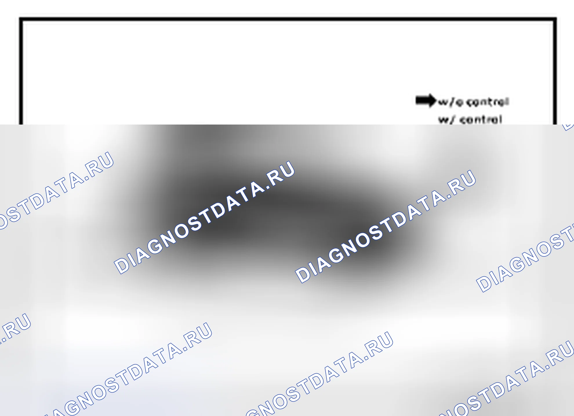 Рис. 15. Nissan Rogue II
