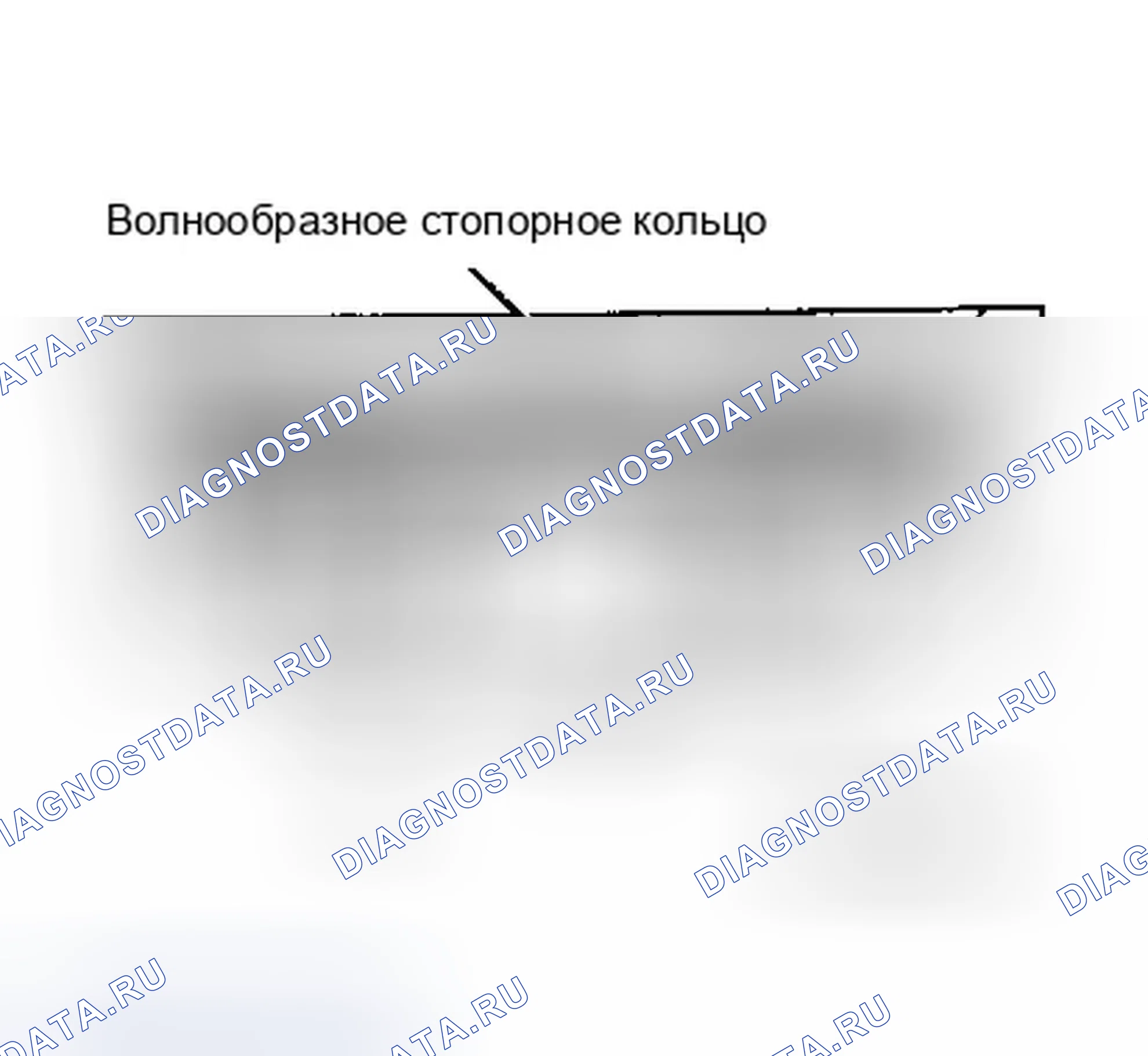 Рис. 85. Dodge Dakota WS 