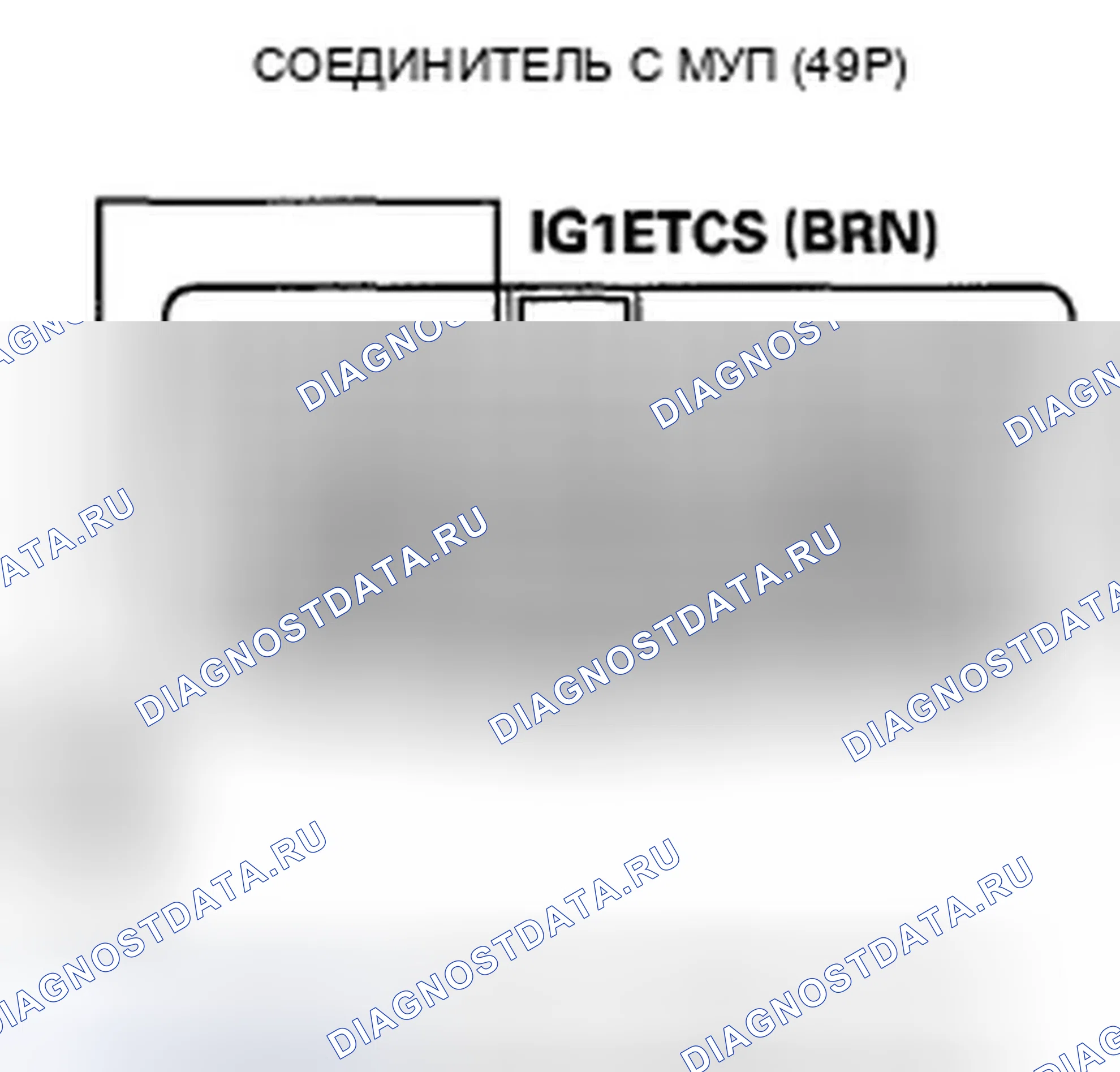 Рис. 253. Honda Crosstour I