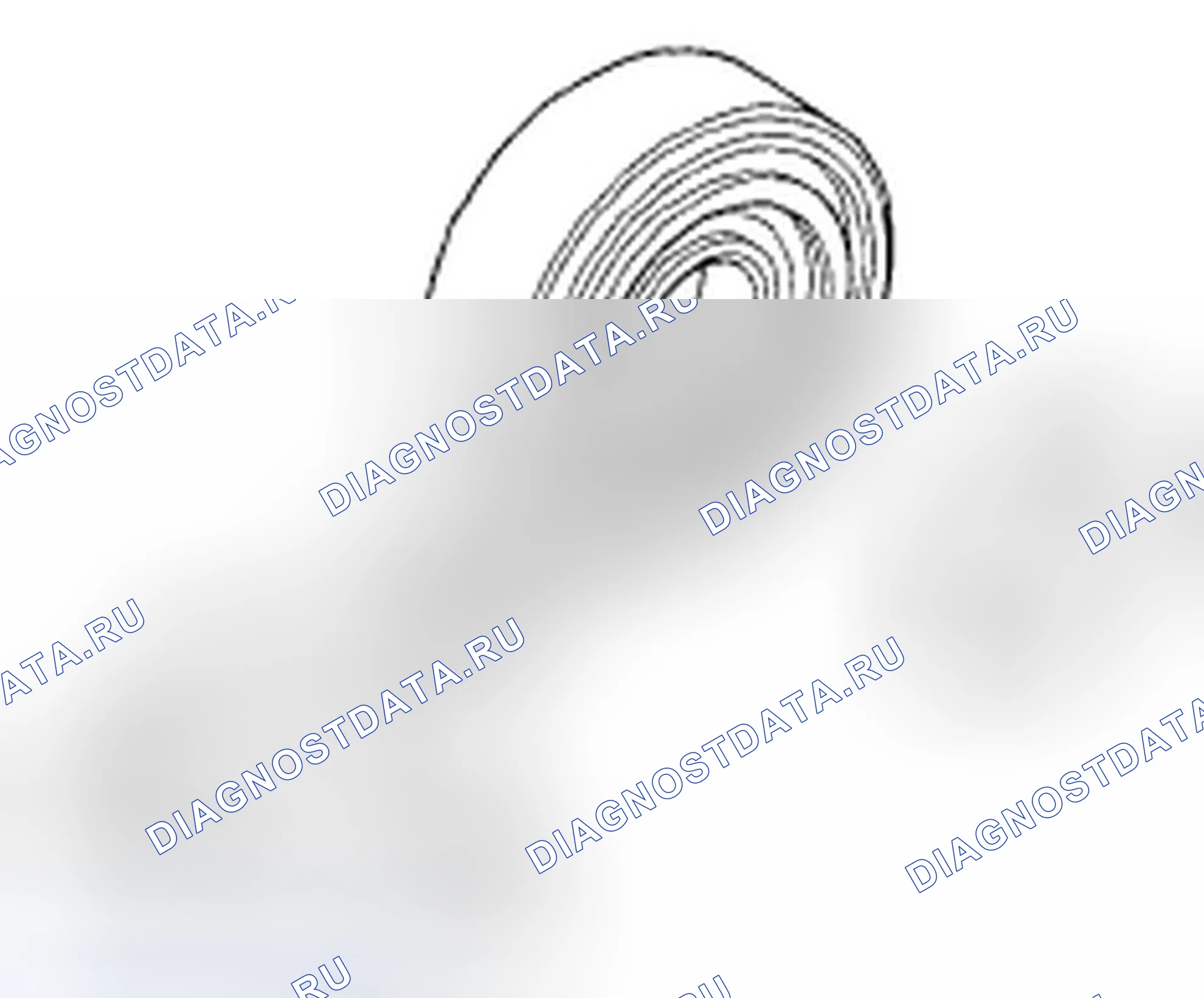Рис. 89. Honda Fit I