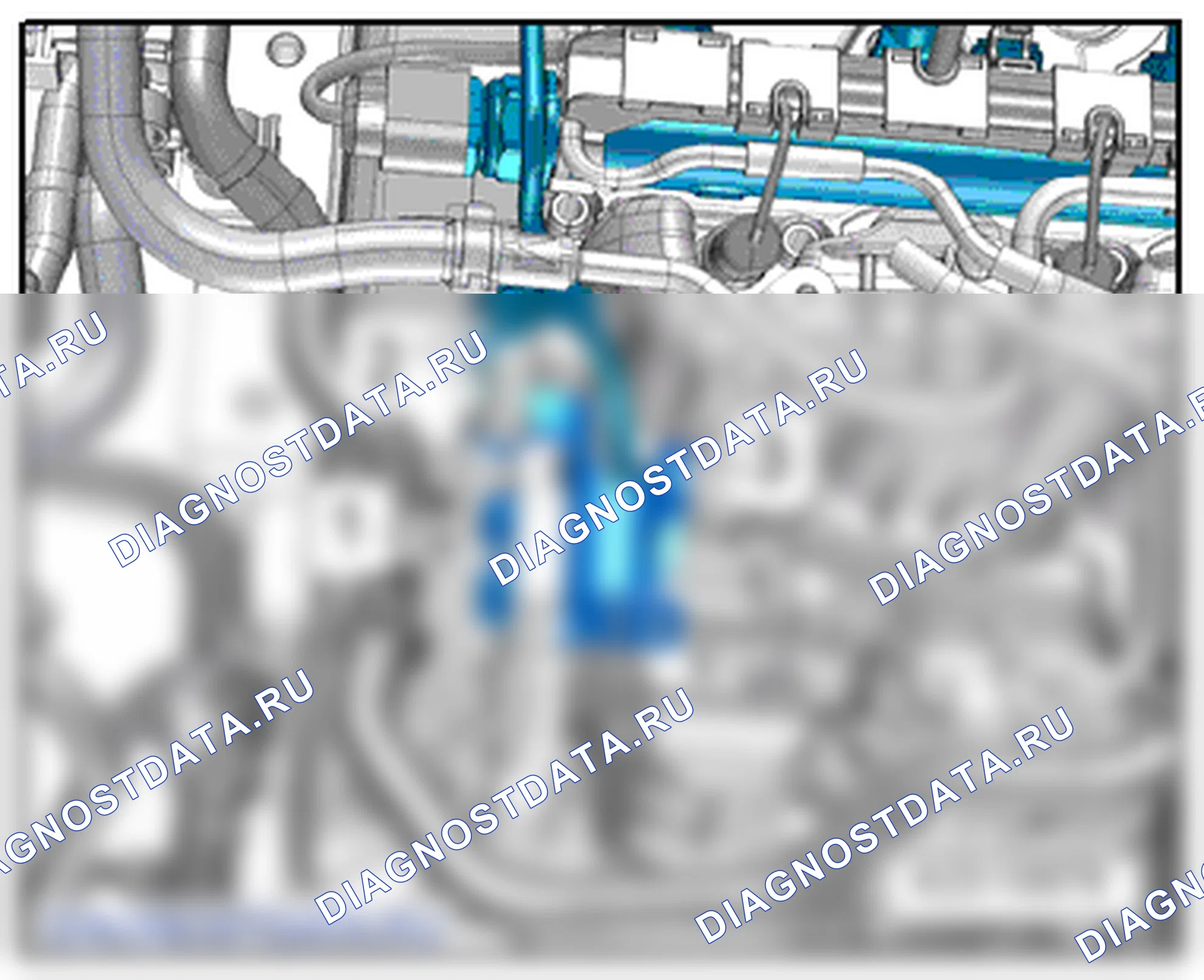 Форсунки/топливная рампа (Common Rail). SEAT Altea I