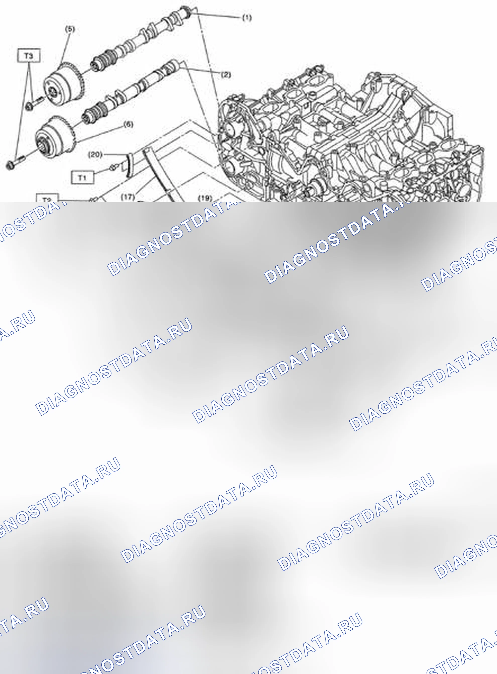 Рис. 3: ЦЕПЬ ГРМ. Subaru Tribeca WX рестайлинг
