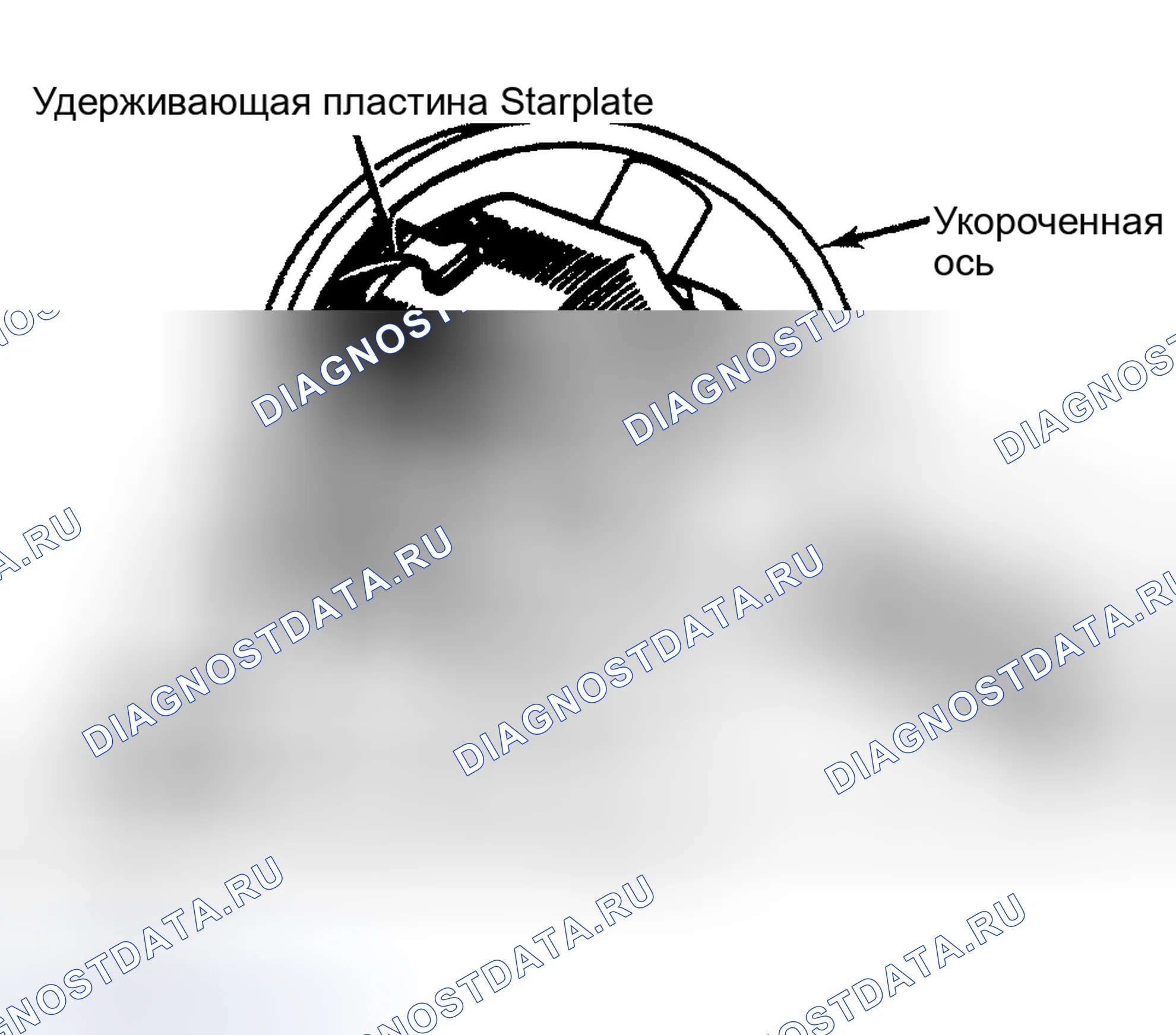 Рис. 8: Разборка. Renault Fuego I