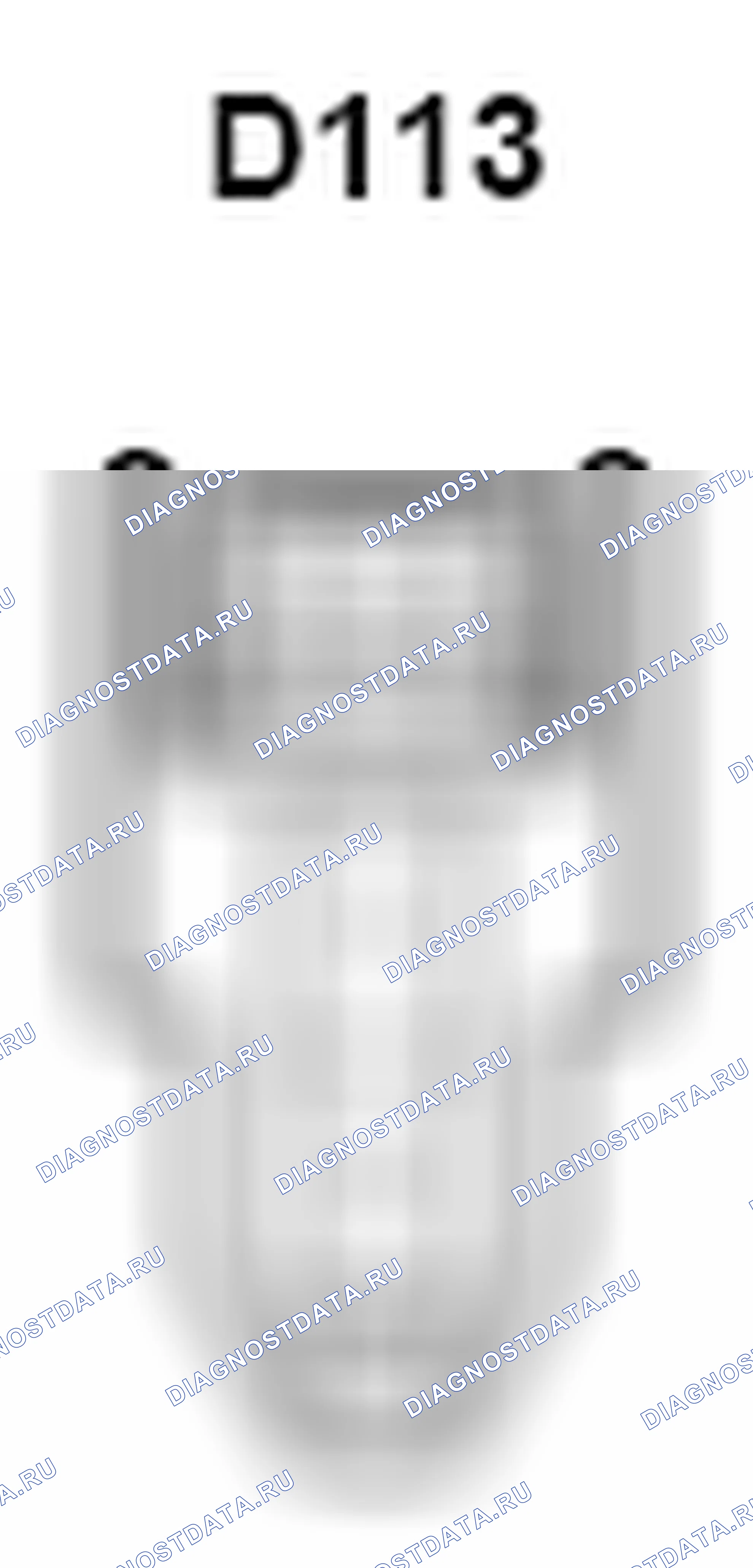 Рис. 484: Вид с торца соединительного разъема (D113). Toyota Sienna III