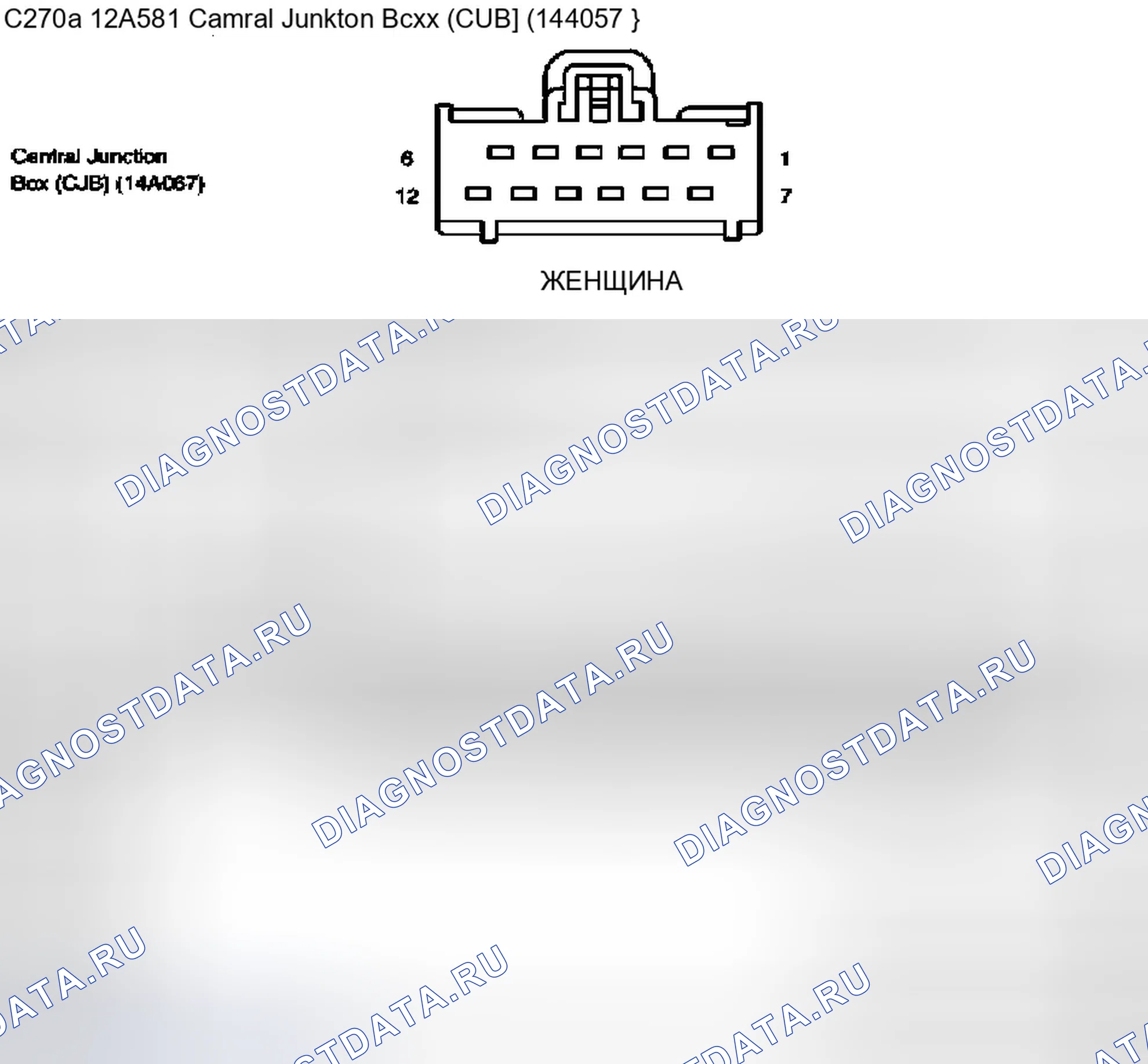 Рис. 532: Идентификационные разъемы C270, C270b и C270c. Ford Pickup F150 