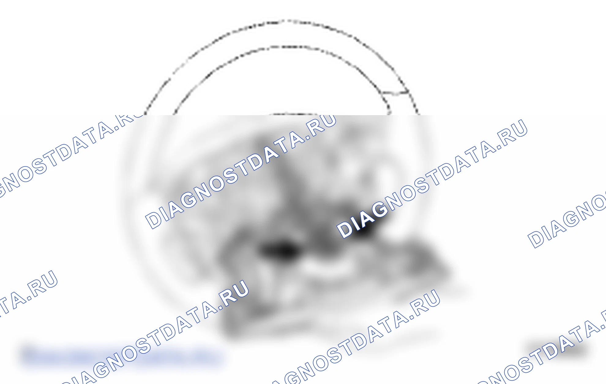 Рис. 143. Lexus LS IV