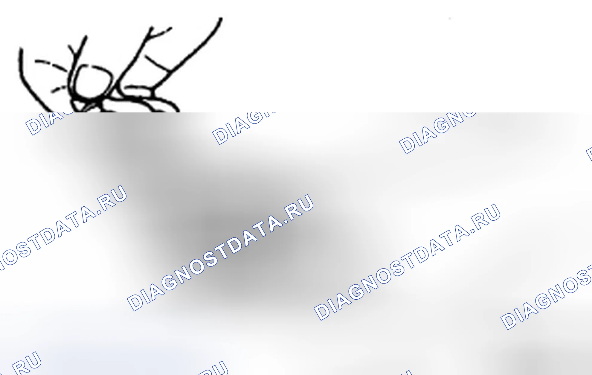 Рис. 131. Hyundai Sonata V рестайлинг