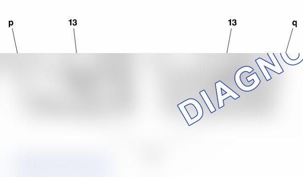 Презентация: двигателя DV4TD (8HX) — b1dp1drd. Citroen C2 I