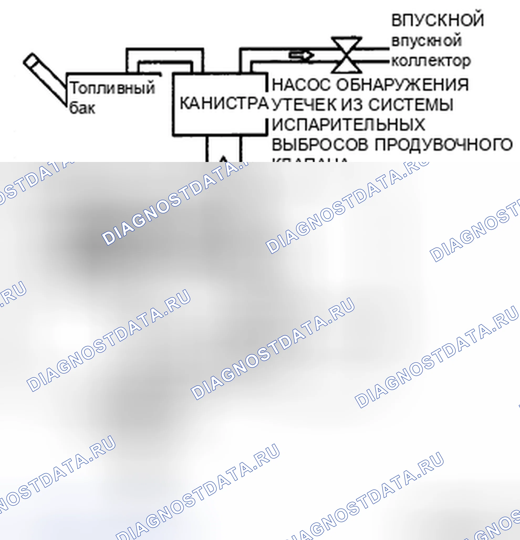 Рис. 6. Mazda CX-7 I