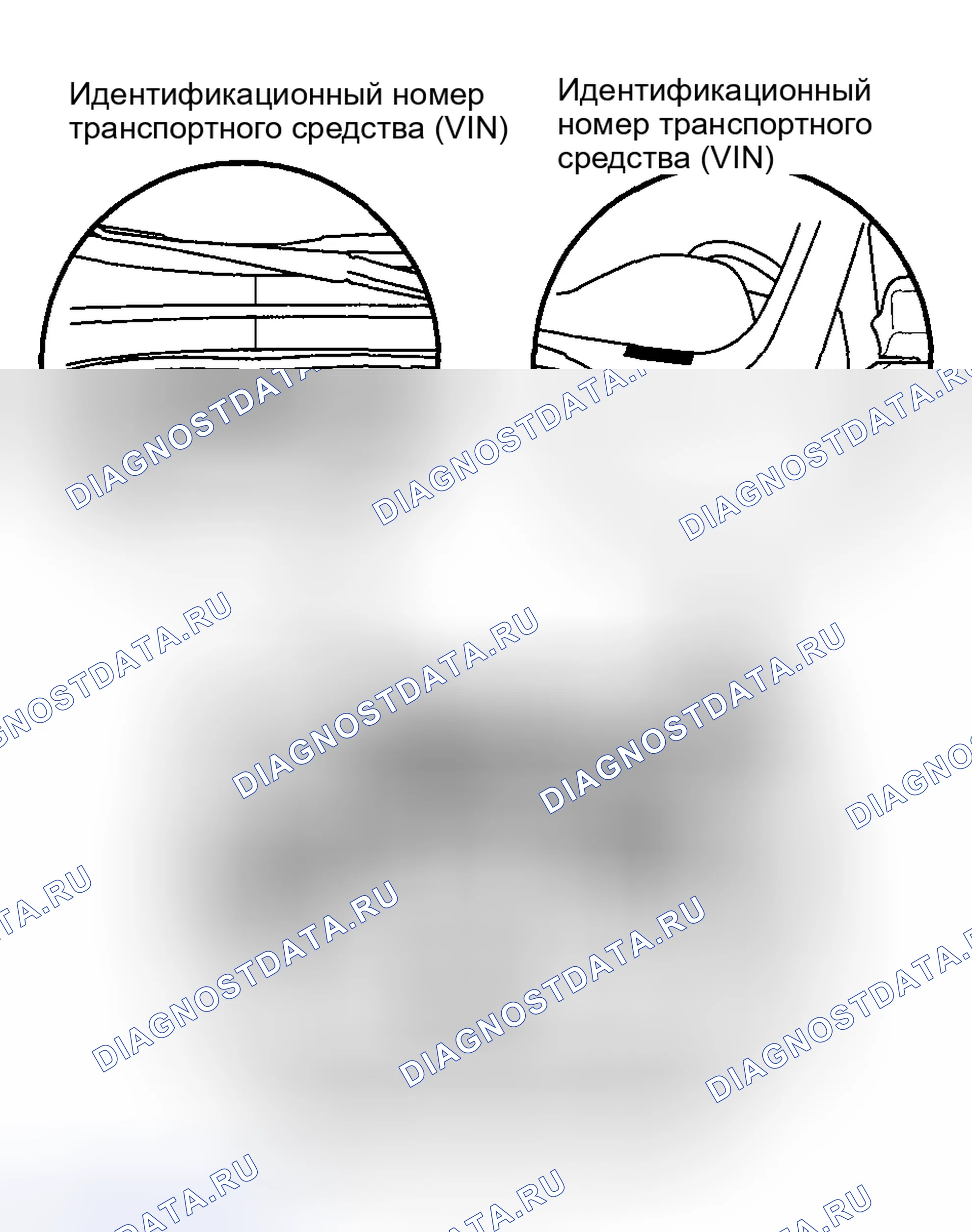 Рис. 7: Расположение идентификационных номеров. Honda Pilot I рестайлинг