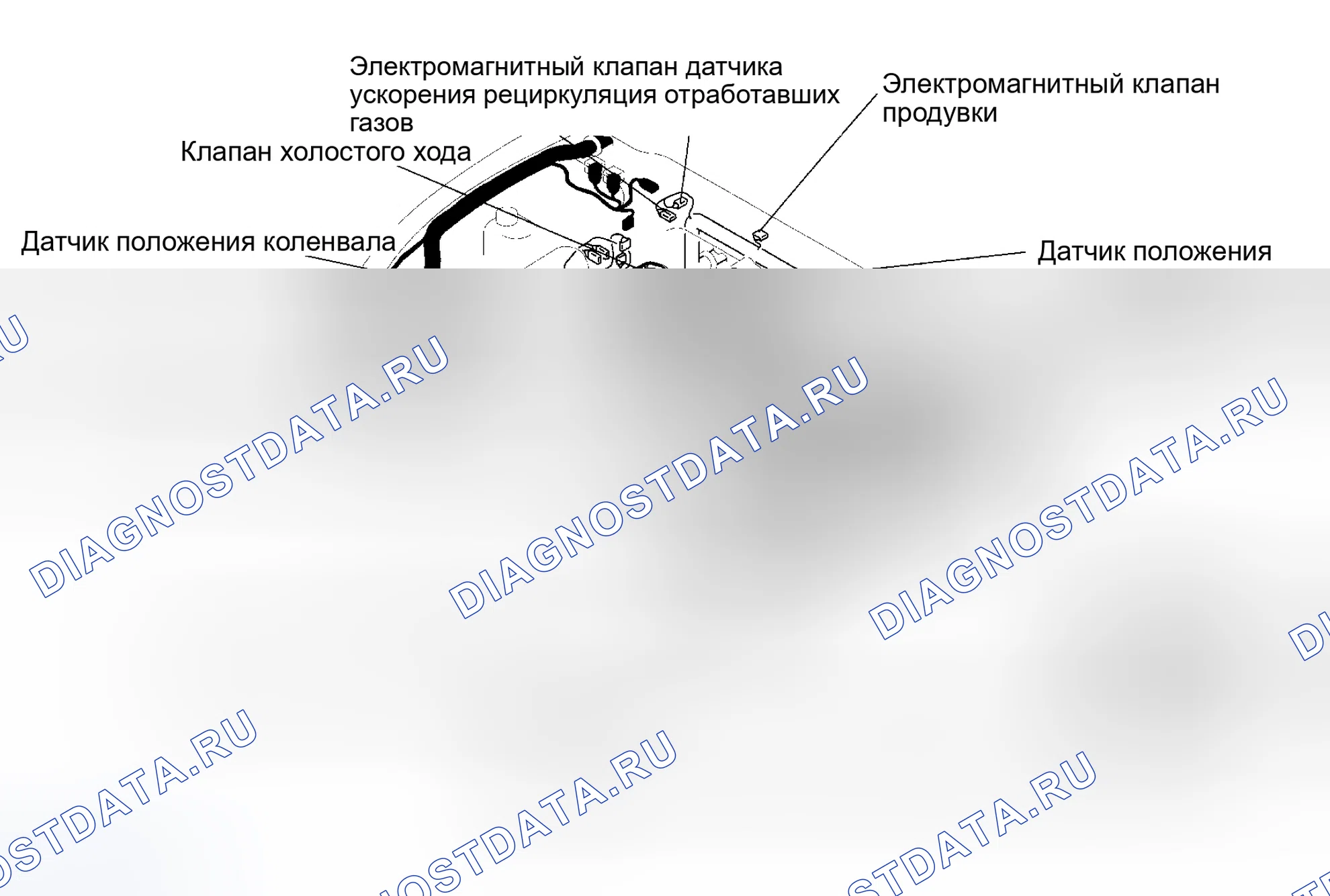 Рис. 5: Расположение компонентов (5 из 5). Mazda Protege BH