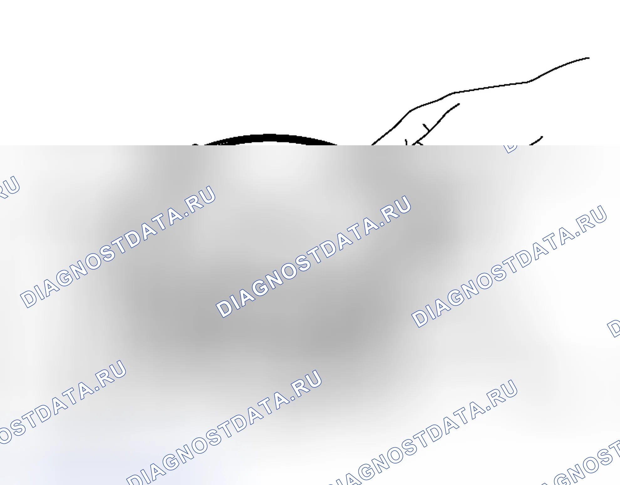 Рис. 463. Honda Envix I