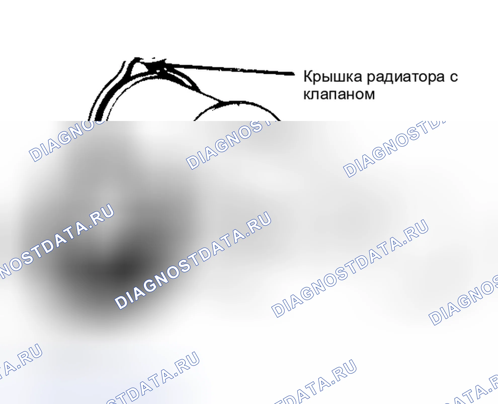 Рис. 2: крышка радиатора для испытания под давлением. Hyundai IONIQ 6 I
