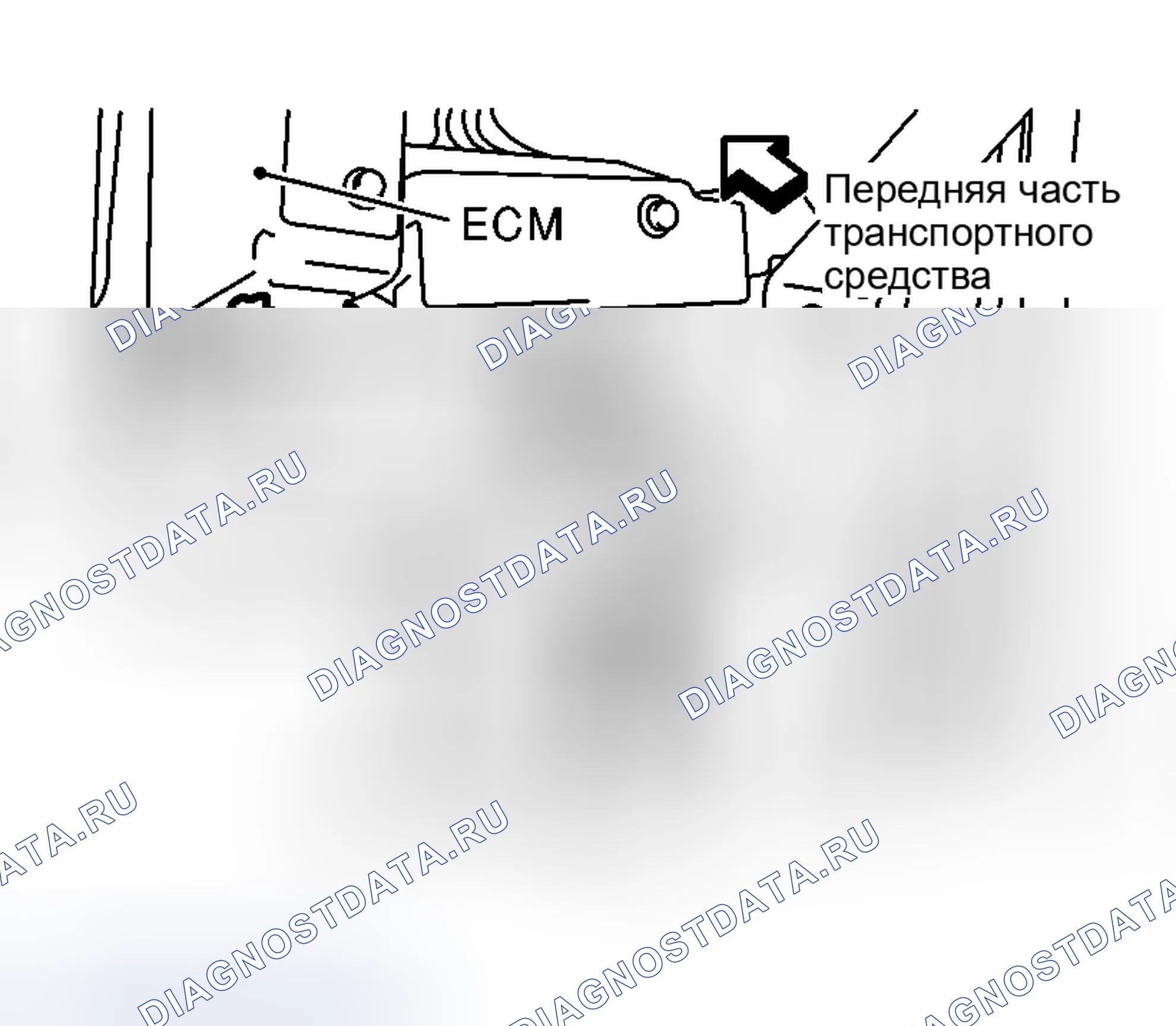 Рис. 690: Сторона пассажирского помещения. Infiniti G35 III