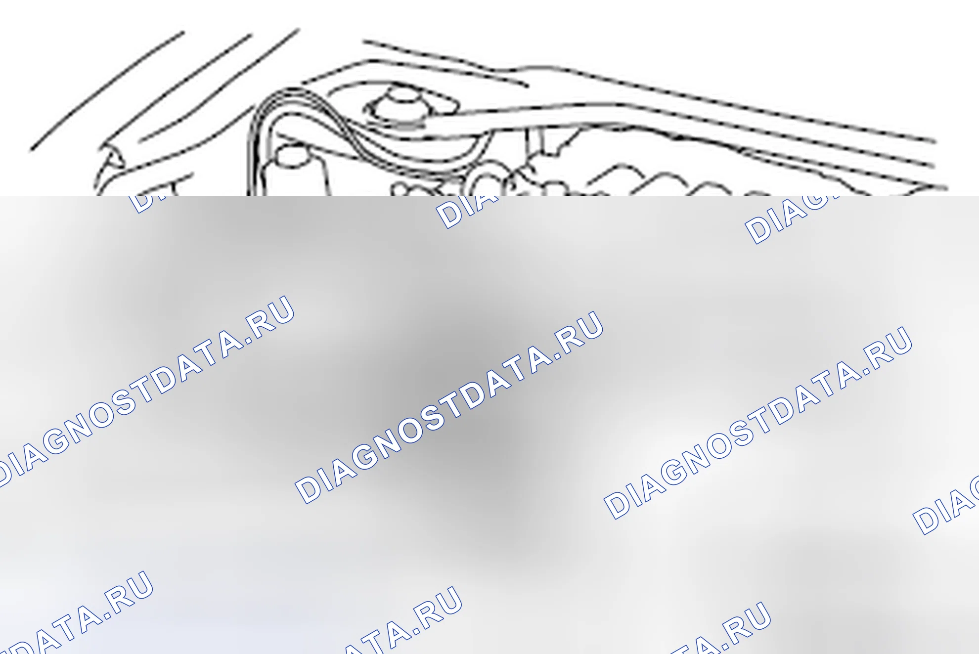 Рис. 37. Honda e:NP1 I