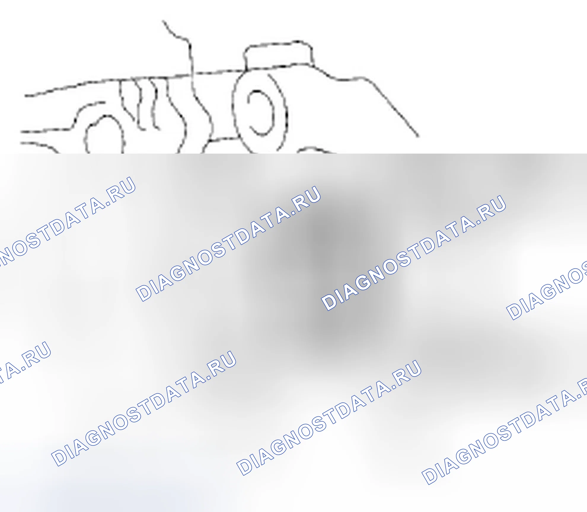 Рис. 1072: расшифровка кода ошибки P1009: Неисправность VTC Advance. Honda Accord VIII рестайлинг
