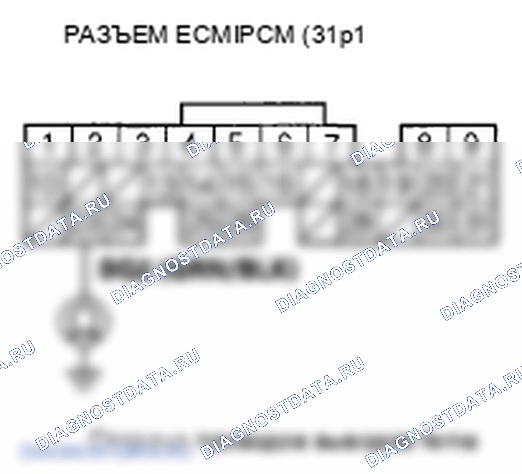 Рис. 383. Honda Element YH2 рестайлинг