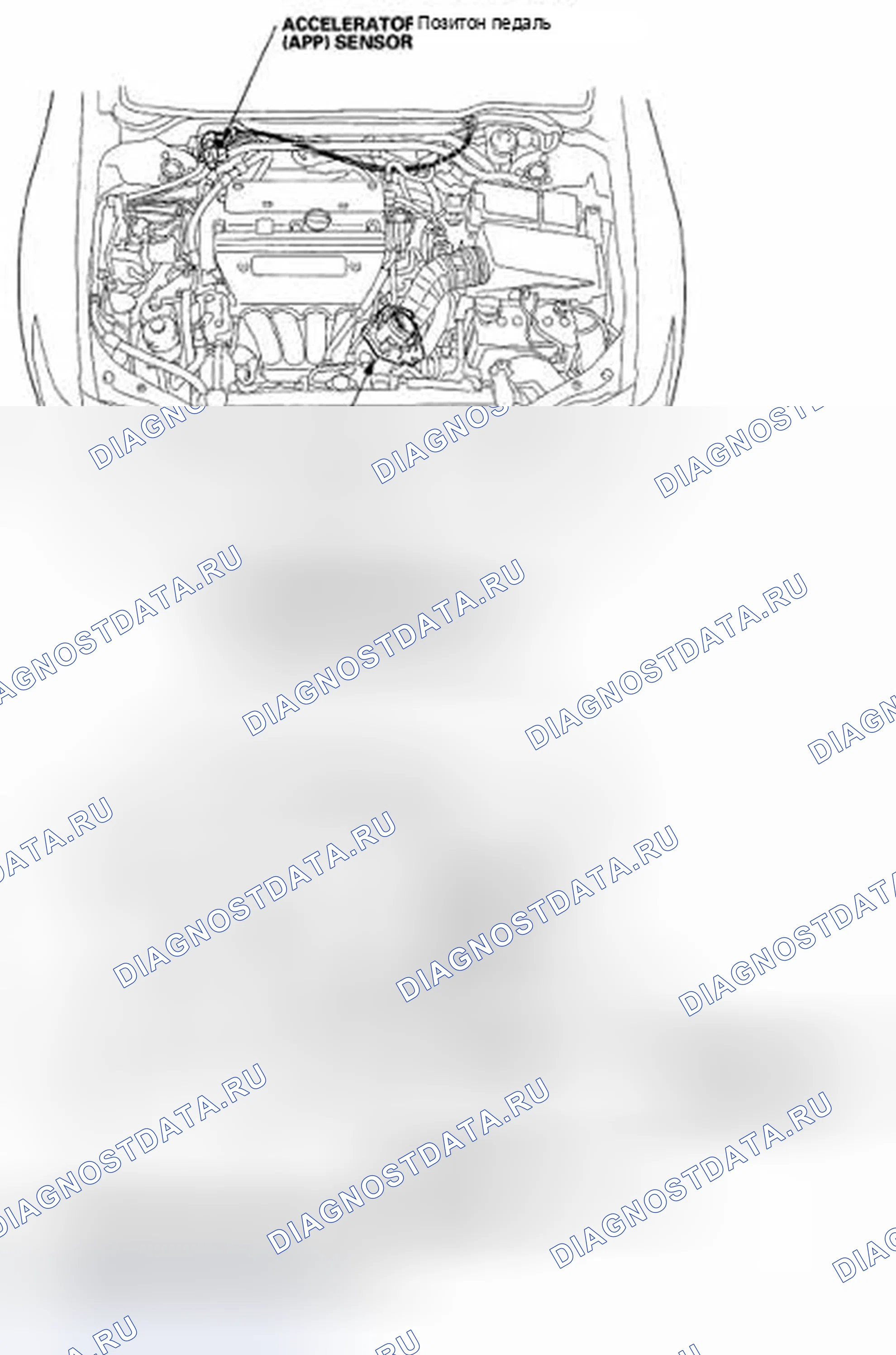 Рис. 16: Указатель расположения компонентов. Acura TSX I